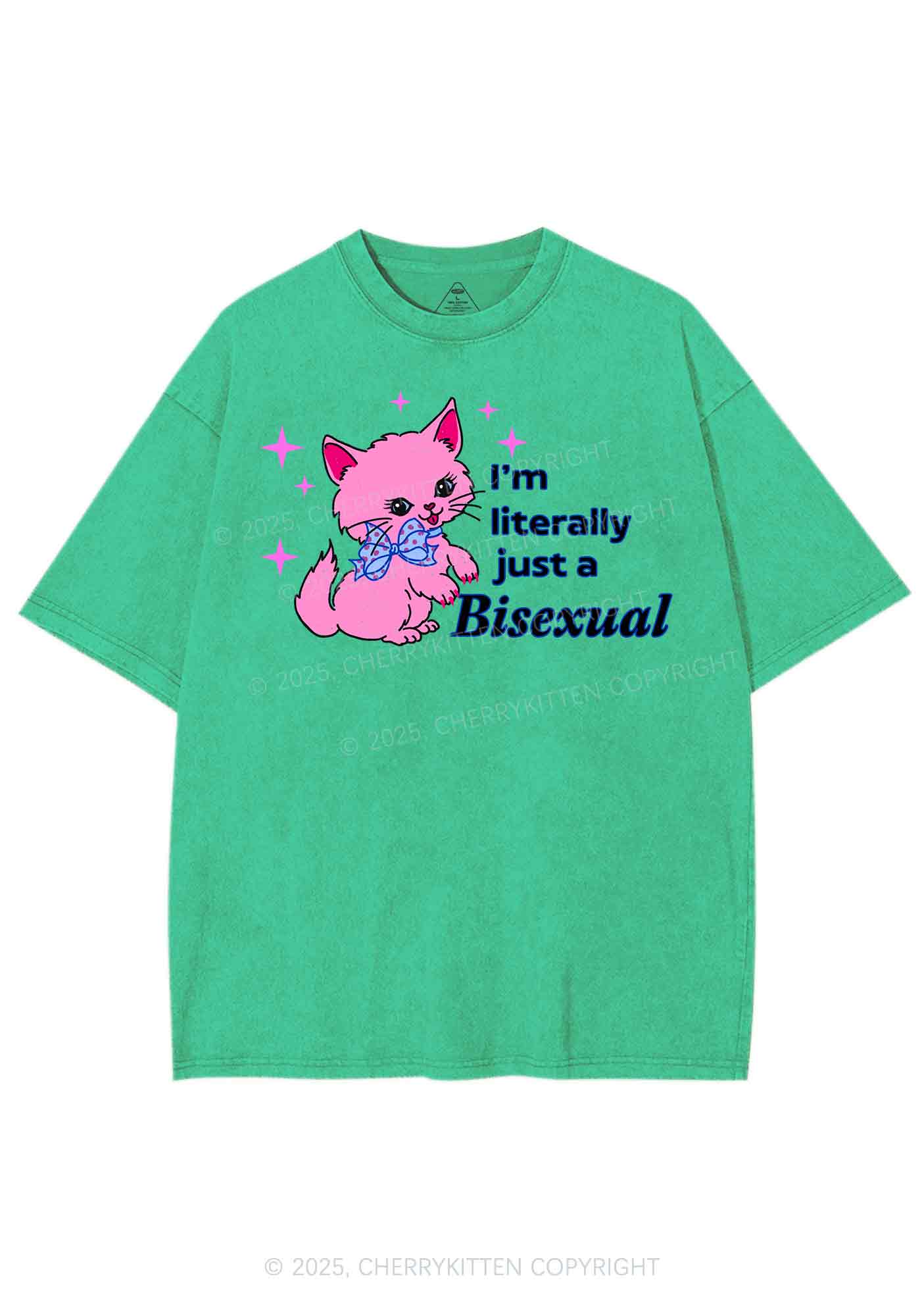 Literally Just A Bisexual Pride Y2K Shirts Washed Tee Cherrykitten - Image 8