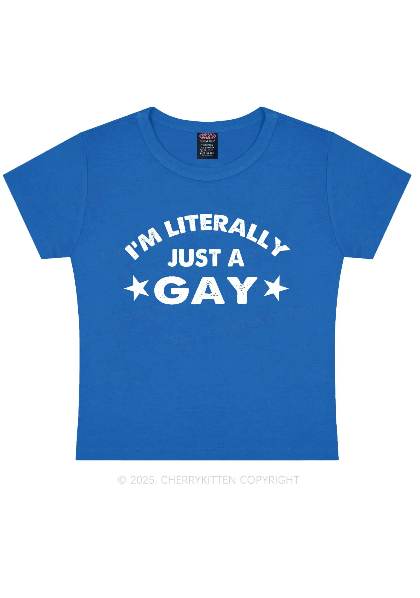Literally Just A Gay Pride Y2K Baby Tee Cherrykitten - Image 10