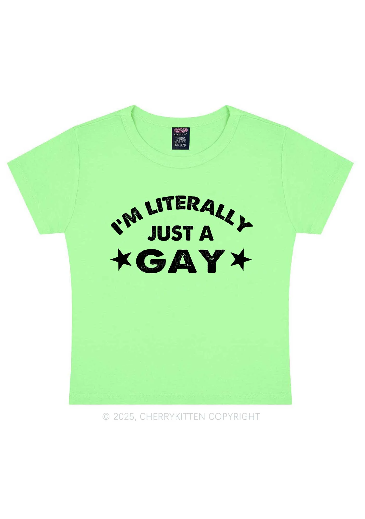 Literally Just A Gay Pride Y2K Baby Tee Cherrykitten - Image 12