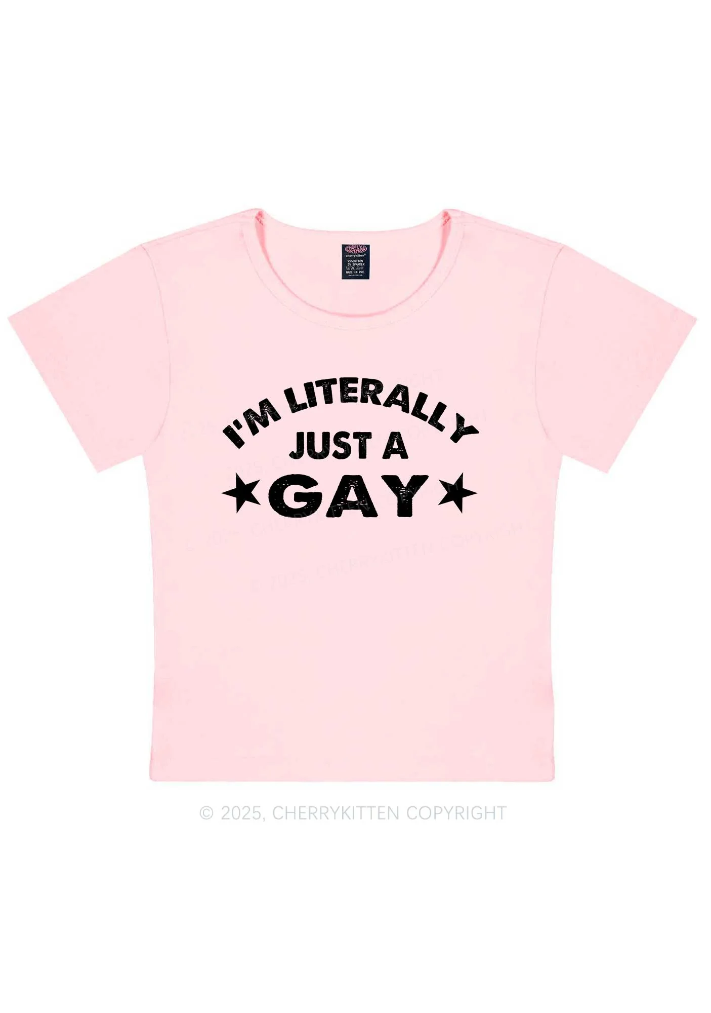 Literally Just A Gay Pride Y2K Baby Tee Cherrykitten - Image 13