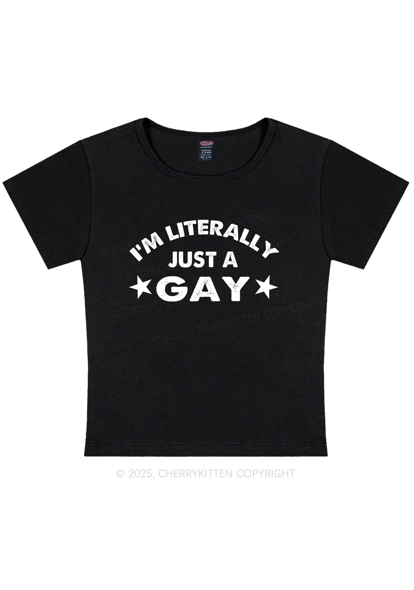Literally Just A Gay Pride Y2K Baby Tee Cherrykitten - Image 4