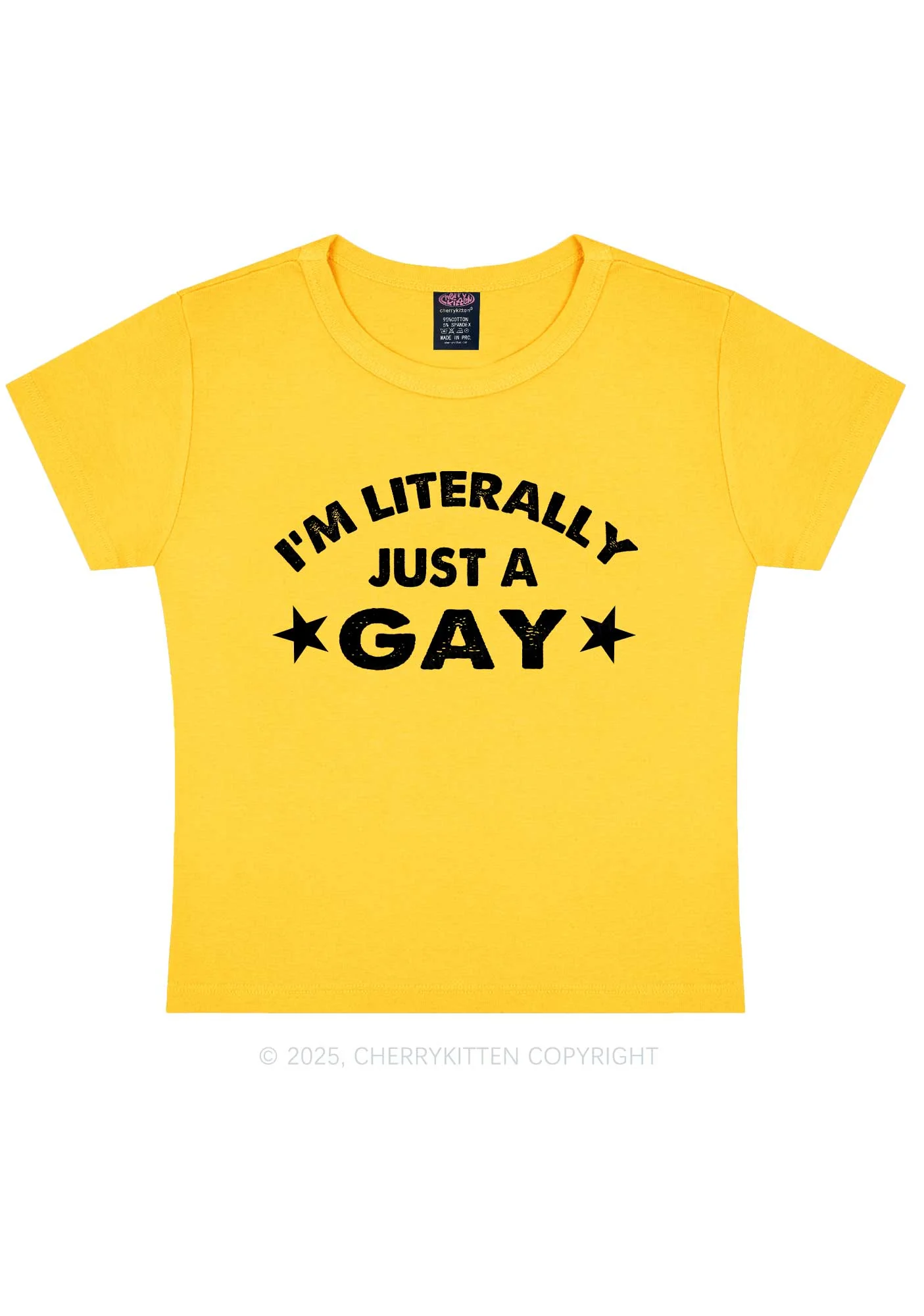 Literally Just A Gay Pride Y2K Baby Tee Cherrykitten - Image 5
