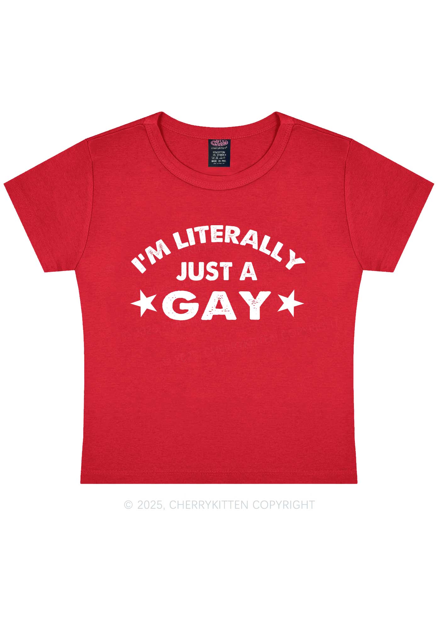 Literally Just A Gay Pride Y2K Baby Tee Cherrykitten - Image 6