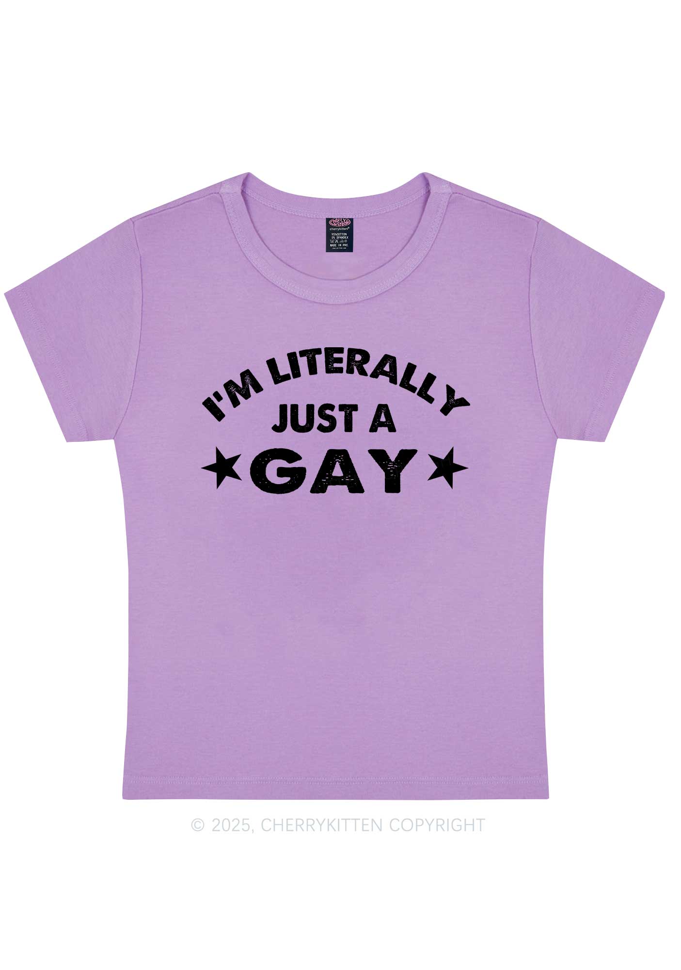 Literally Just A Gay Pride Y2K Baby Tee Cherrykitten - Image 8