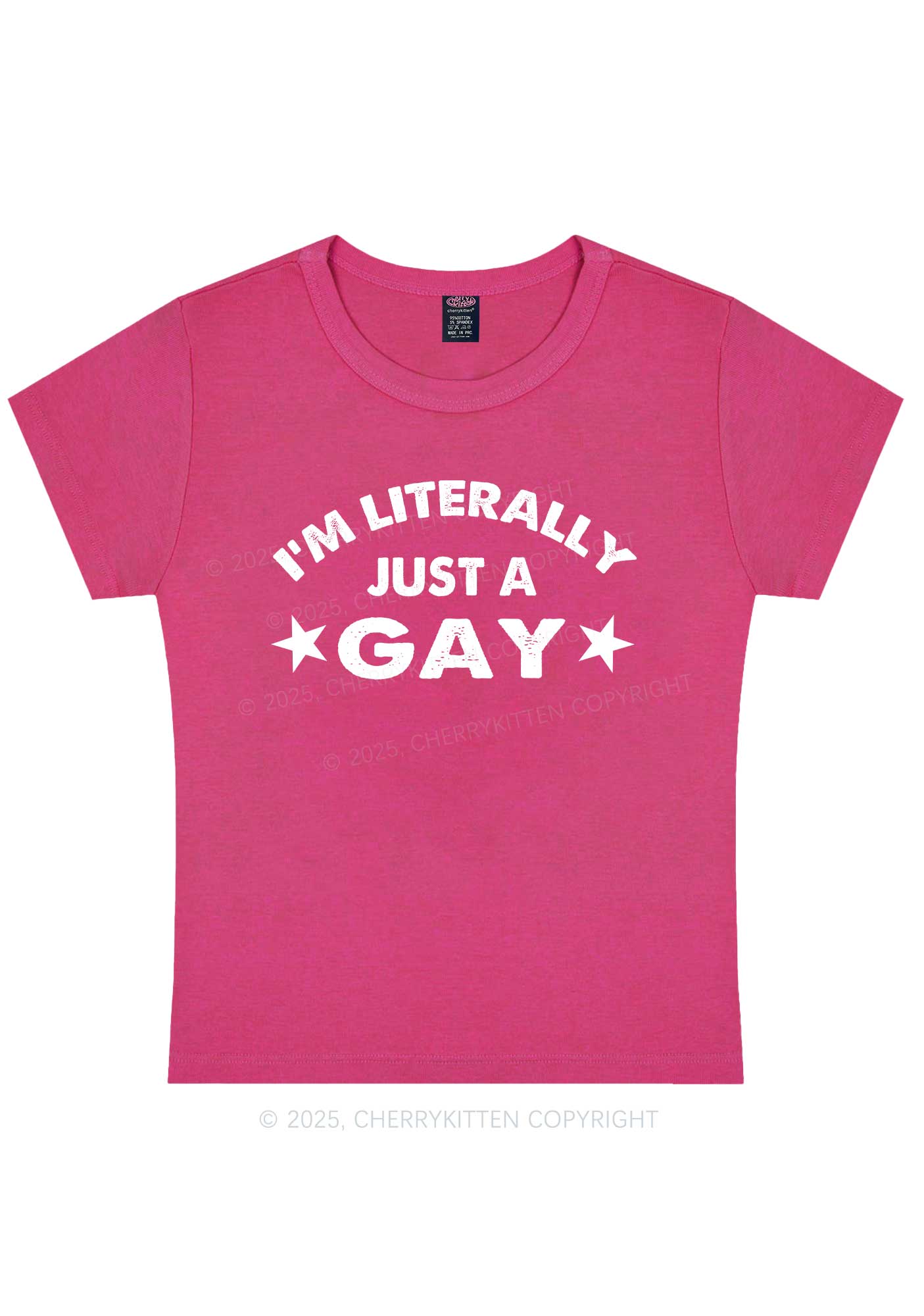 Literally Just A Gay Pride Y2K Baby Tee Cherrykitten - Image 9