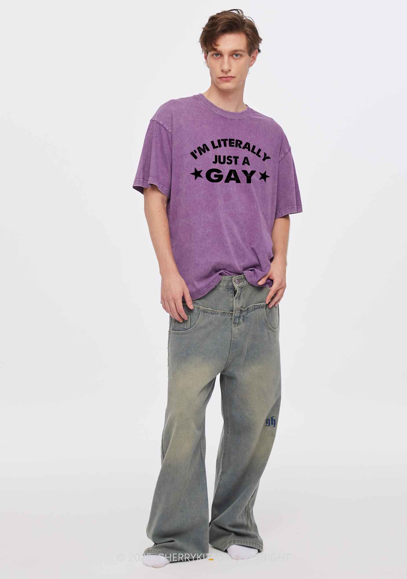 Literally Just A Gay Pride Y2K Shirts Washed Tee Cherrykitten - Image 2