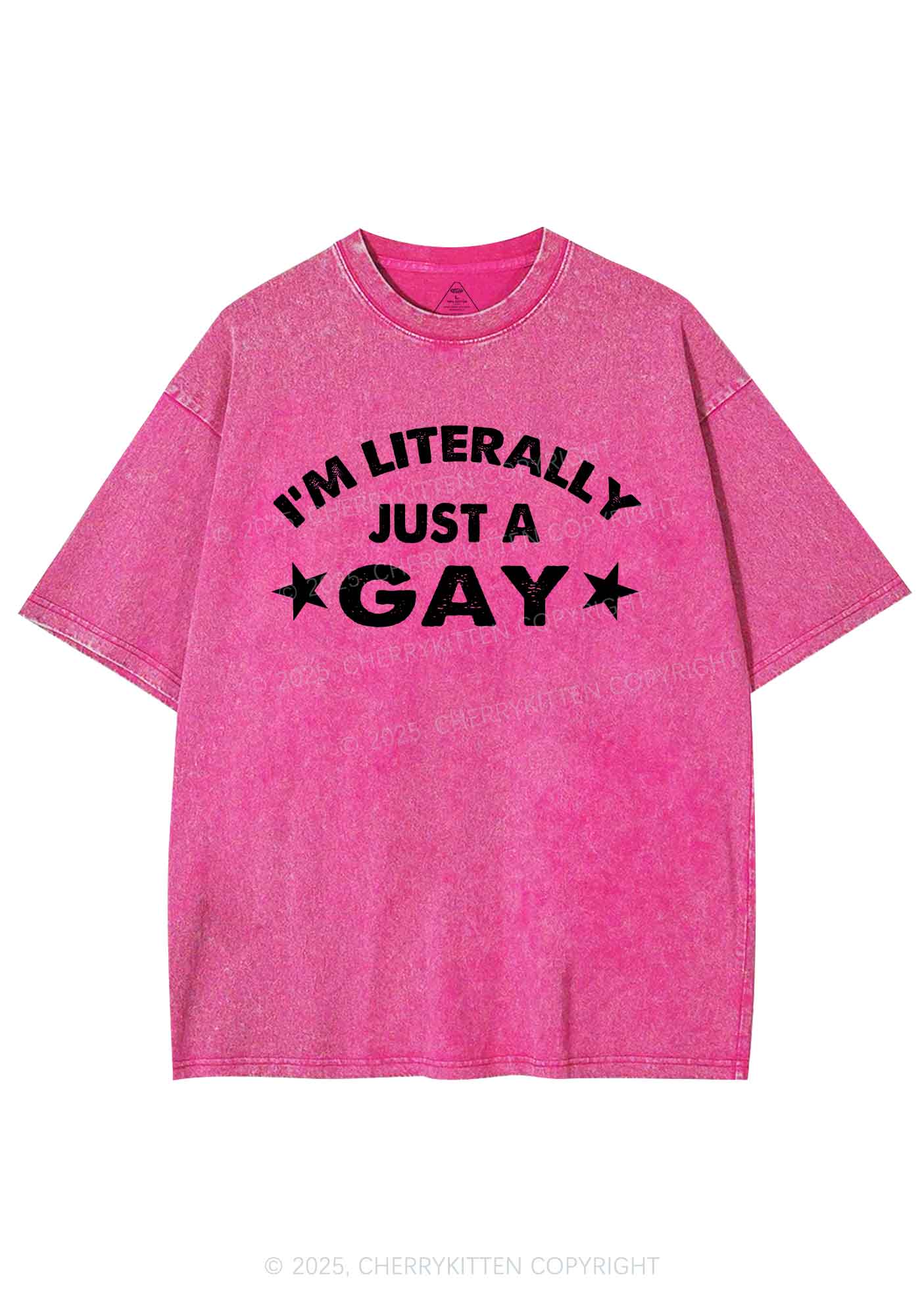 Literally Just A Gay Pride Y2K Shirts Washed Tee Cherrykitten - Image 3