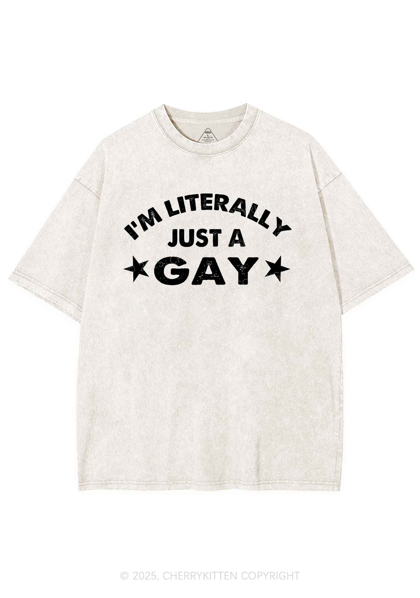 Literally Just A Gay Pride Y2K Shirts Washed Tee Cherrykitten - Image 5