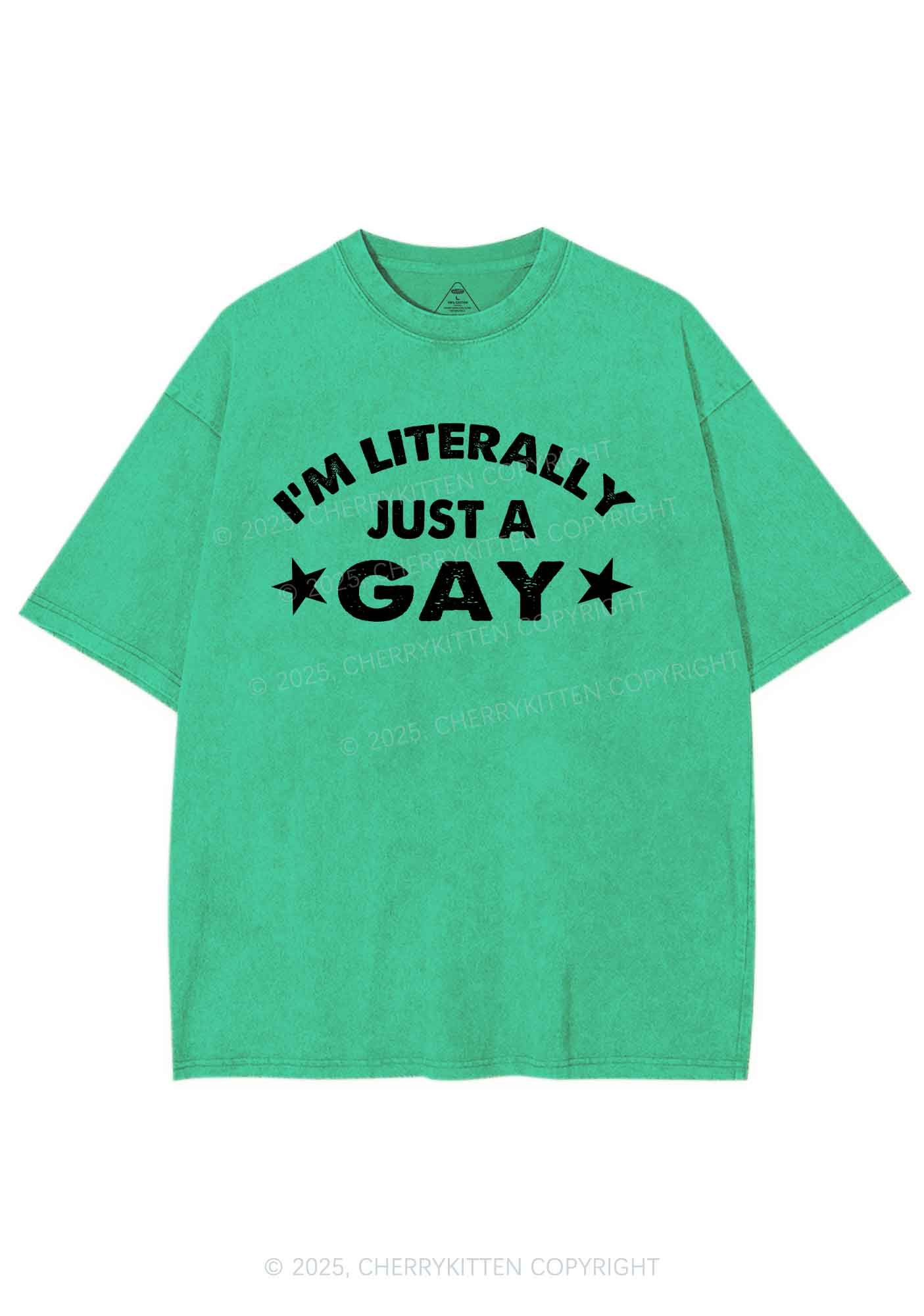 Literally Just A Gay Pride Y2K Shirts Washed Tee Cherrykitten - Image 6