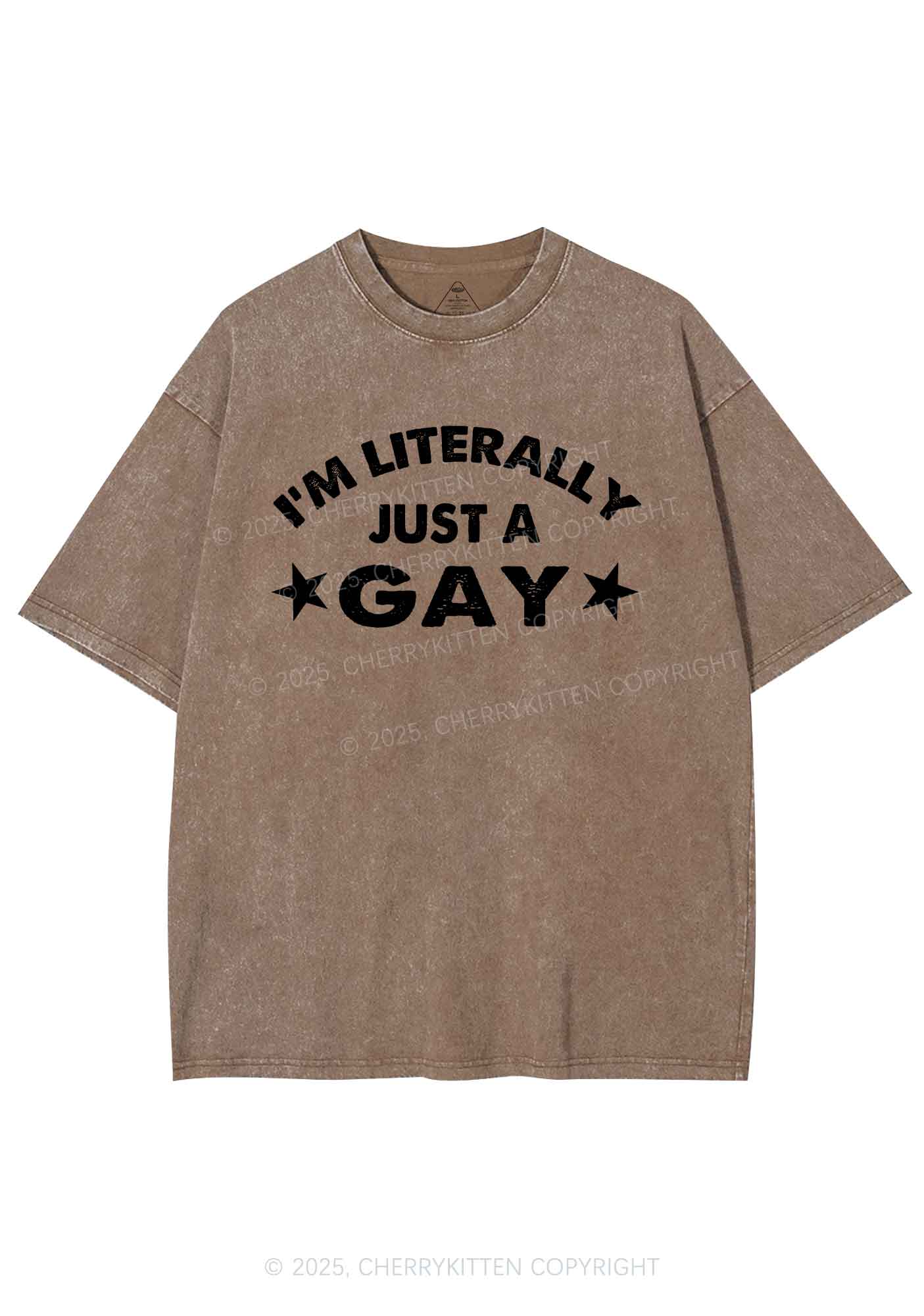 Literally Just A Gay Pride Y2K Shirts Washed Tee Cherrykitten - Image 7