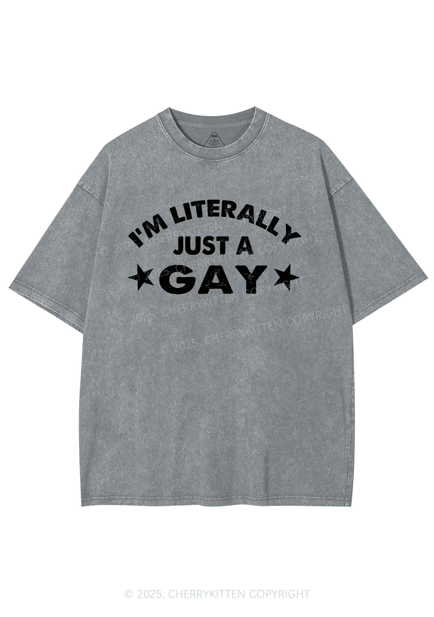 Literally Just A Gay Pride Y2K Shirts Washed Tee Cherrykitten - Image 8
