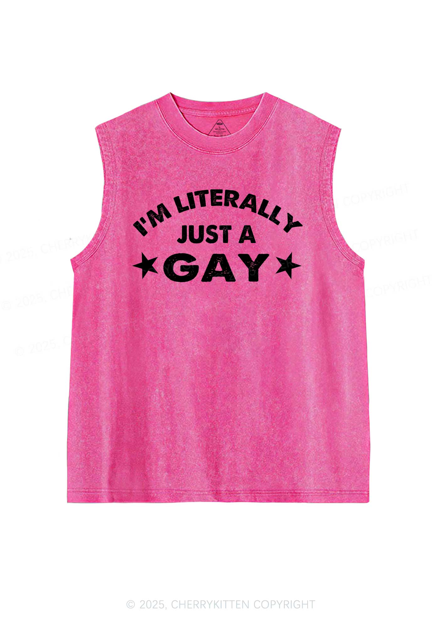 Literally Just A Gay Pride Y2K Washed Muscle Tank Cherrykitten - Image 3