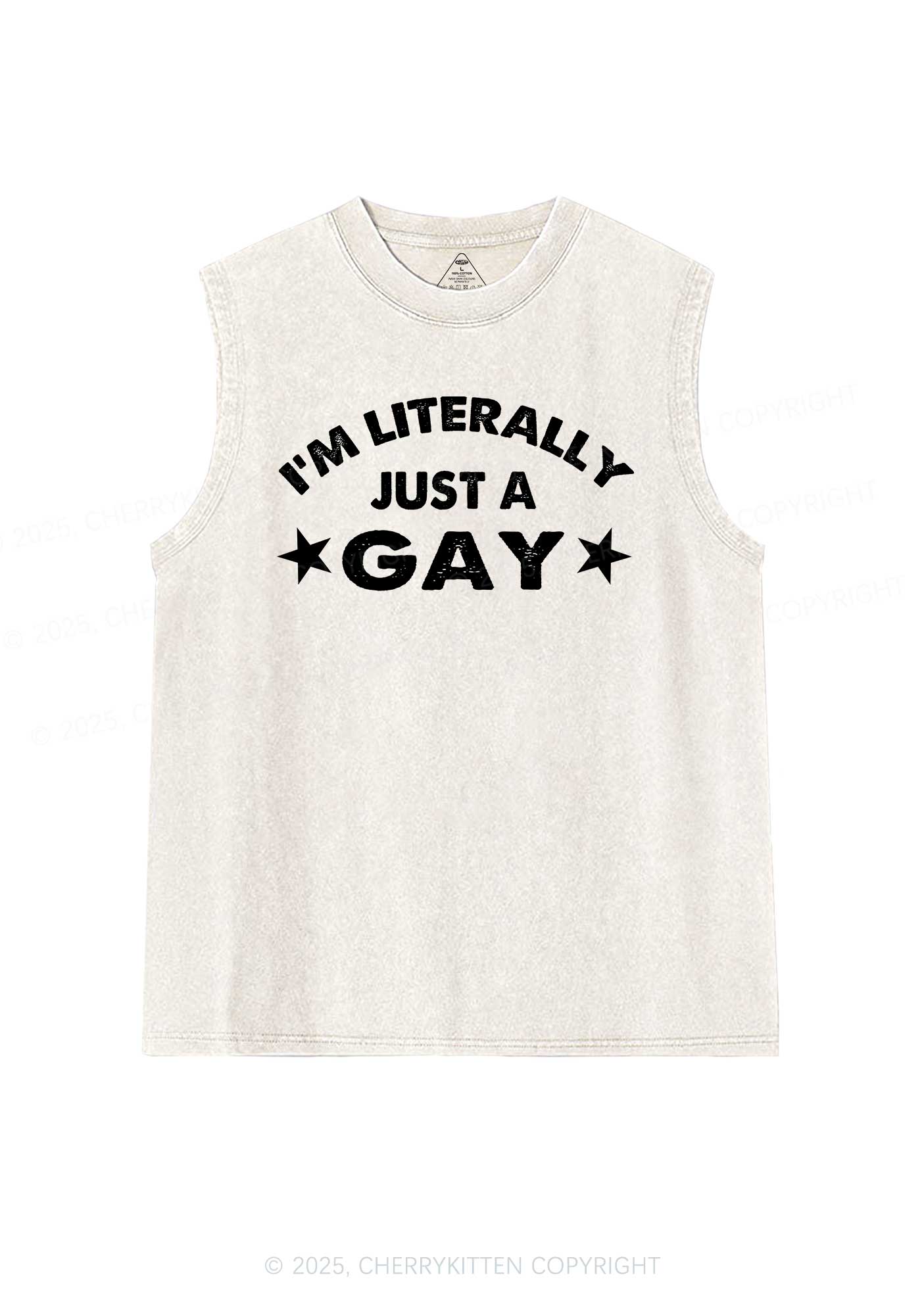 Literally Just A Gay Pride Y2K Washed Muscle Tank Cherrykitten - Image 4