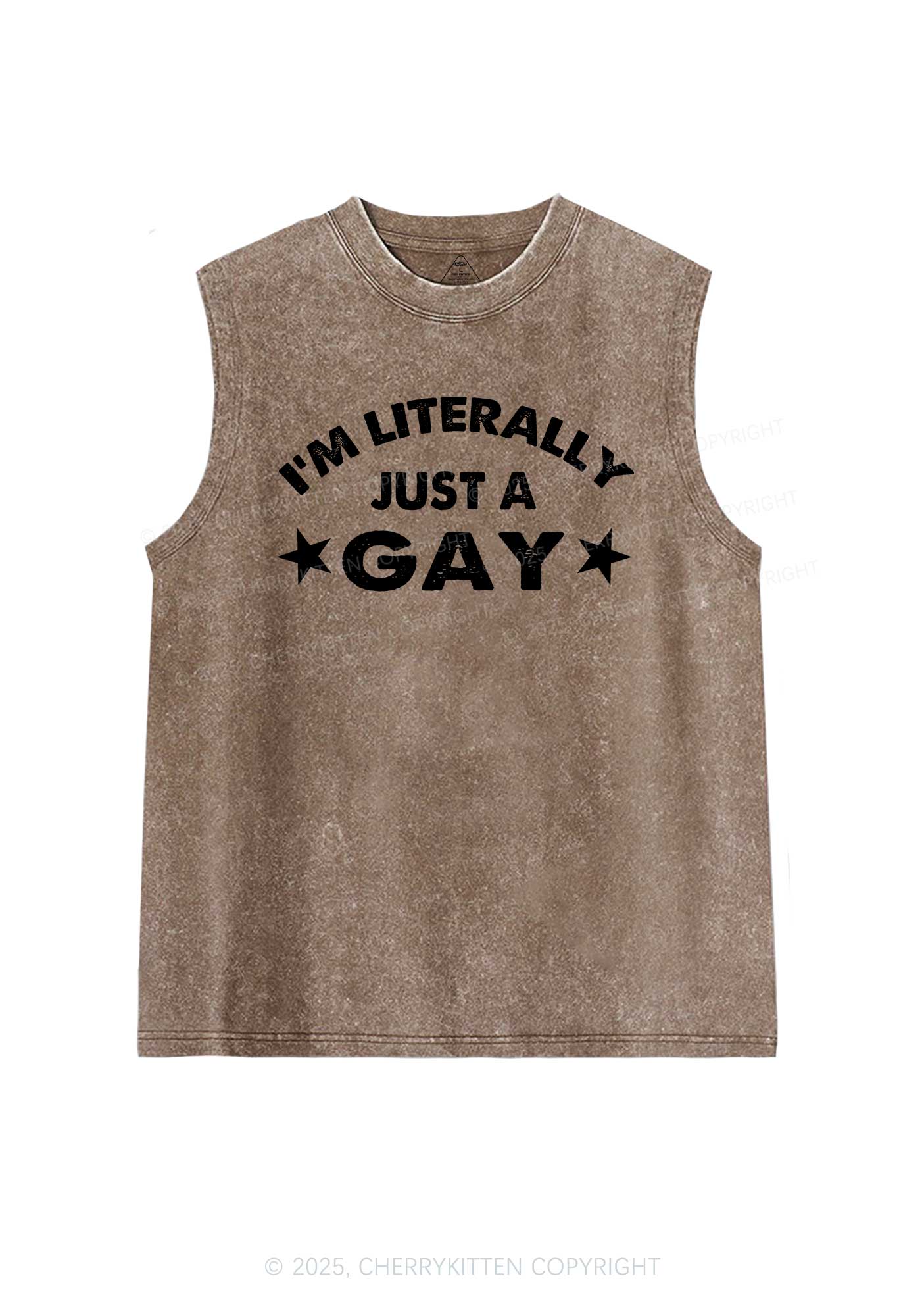 Literally Just A Gay Pride Y2K Washed Muscle Tank Cherrykitten - Image 5