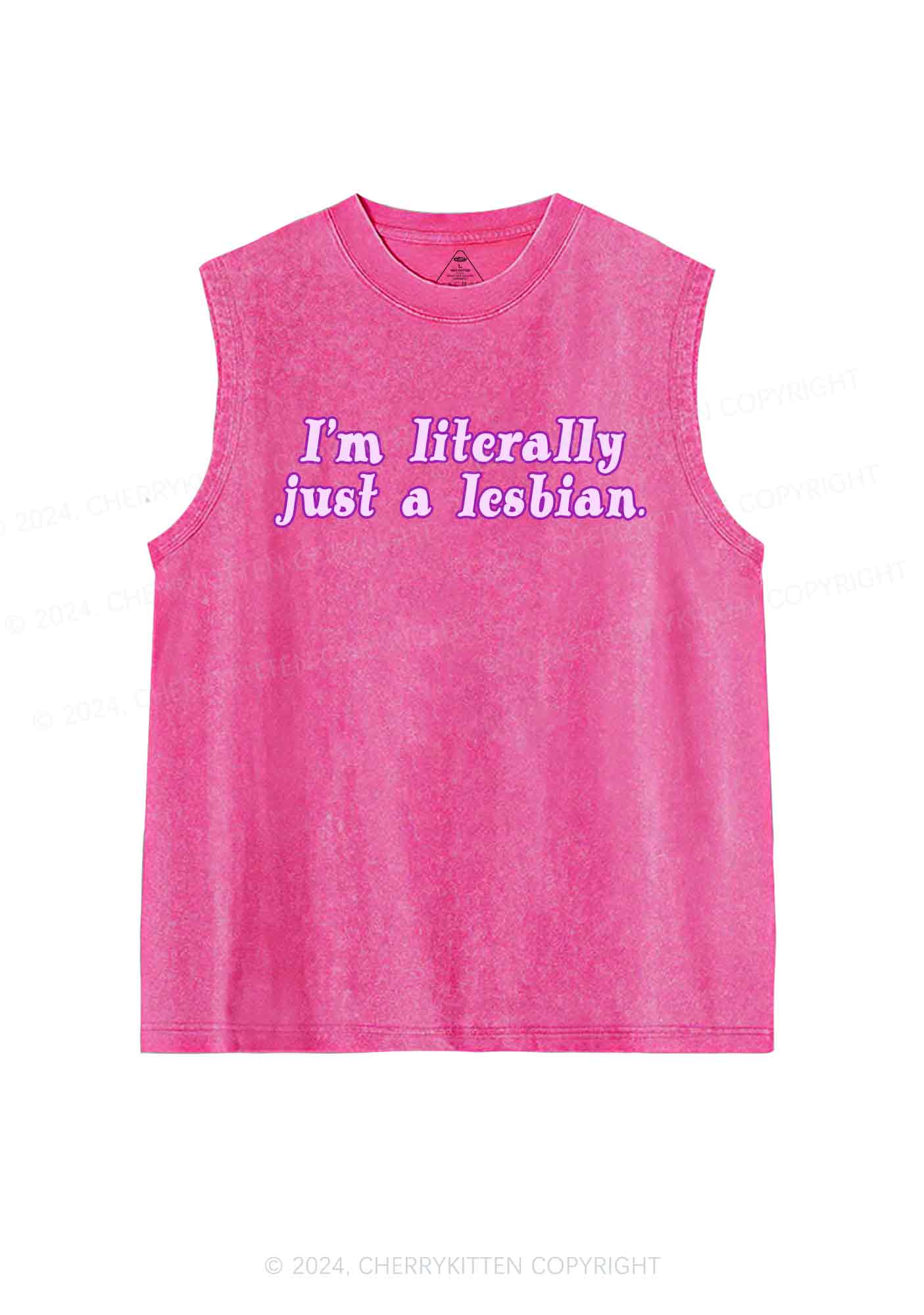Literally Just A Lesbian Y2K Washed Tank Cherrykitten - Image 3