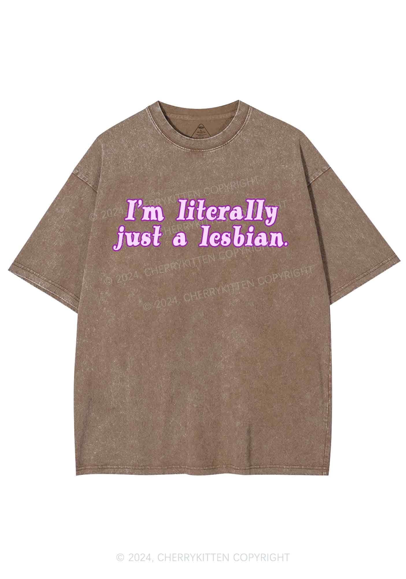 Literally Just A Lesbian Y2K Washed Tee Cherrykitten - Image 7