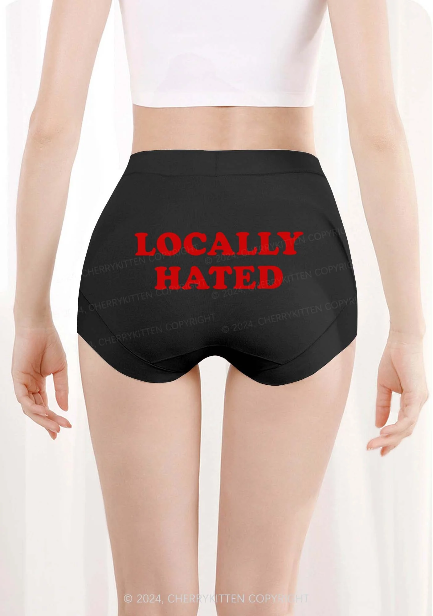 Locally Hated Y2K Mid Rise Waist Boyshort Cherrykitten - Image 3