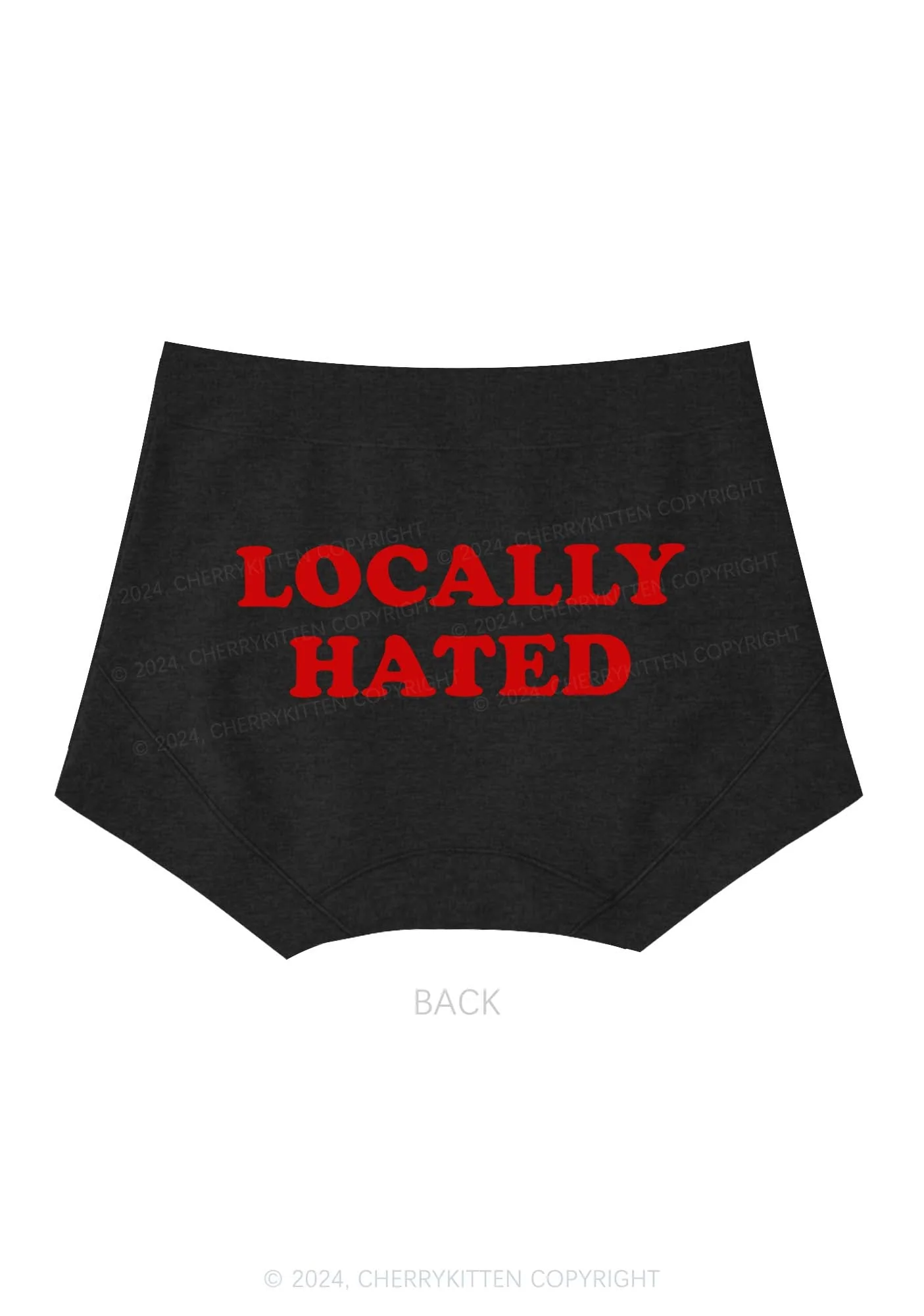 Locally Hated Y2K Mid Rise Waist Boyshort Cherrykitten - Image 4