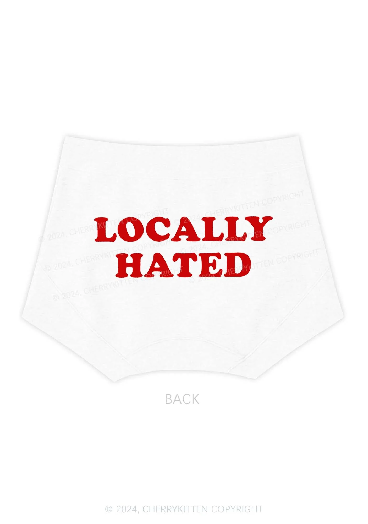 Locally Hated Y2K Mid Rise Waist Boyshort Cherrykitten - Image 5
