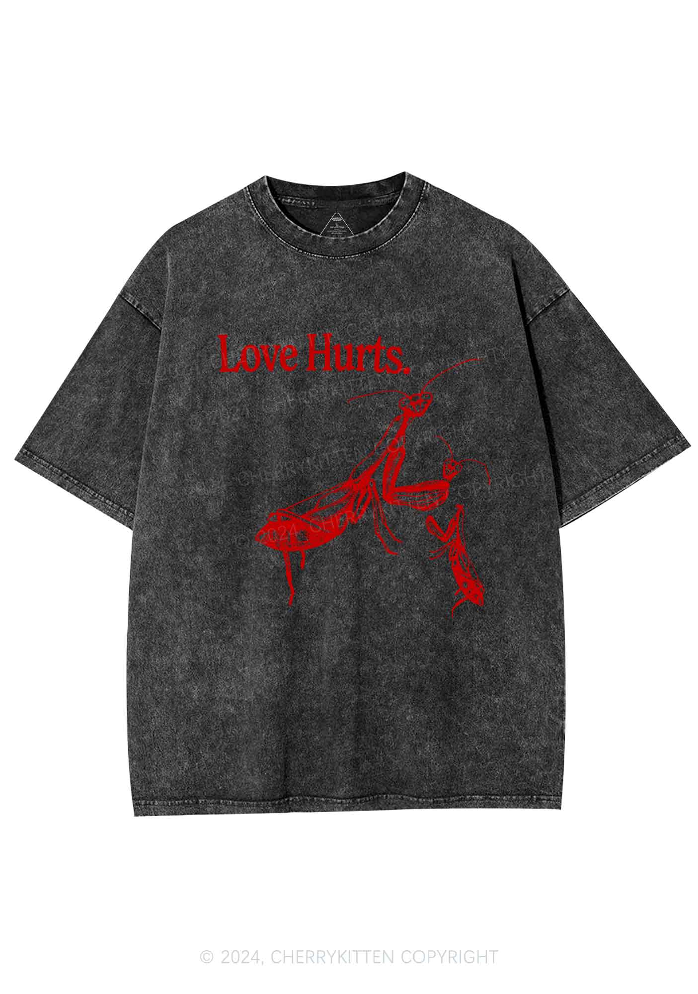 Love Hurts Y2K Valentine's Day Washed Tee Cherrykitten - Image 4