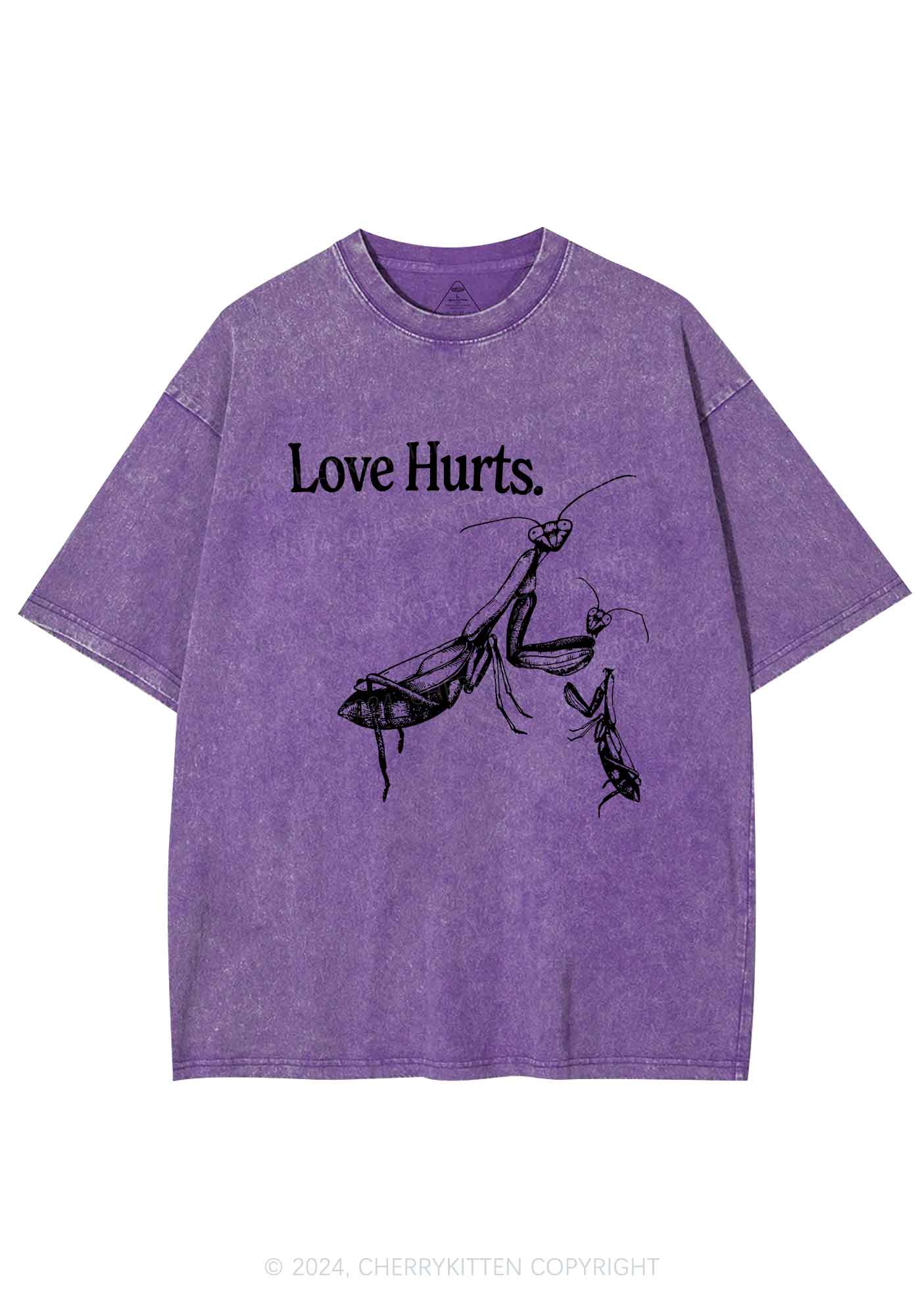 Love Hurts Y2K Valentine's Day Washed Tee Cherrykitten - Image 6
