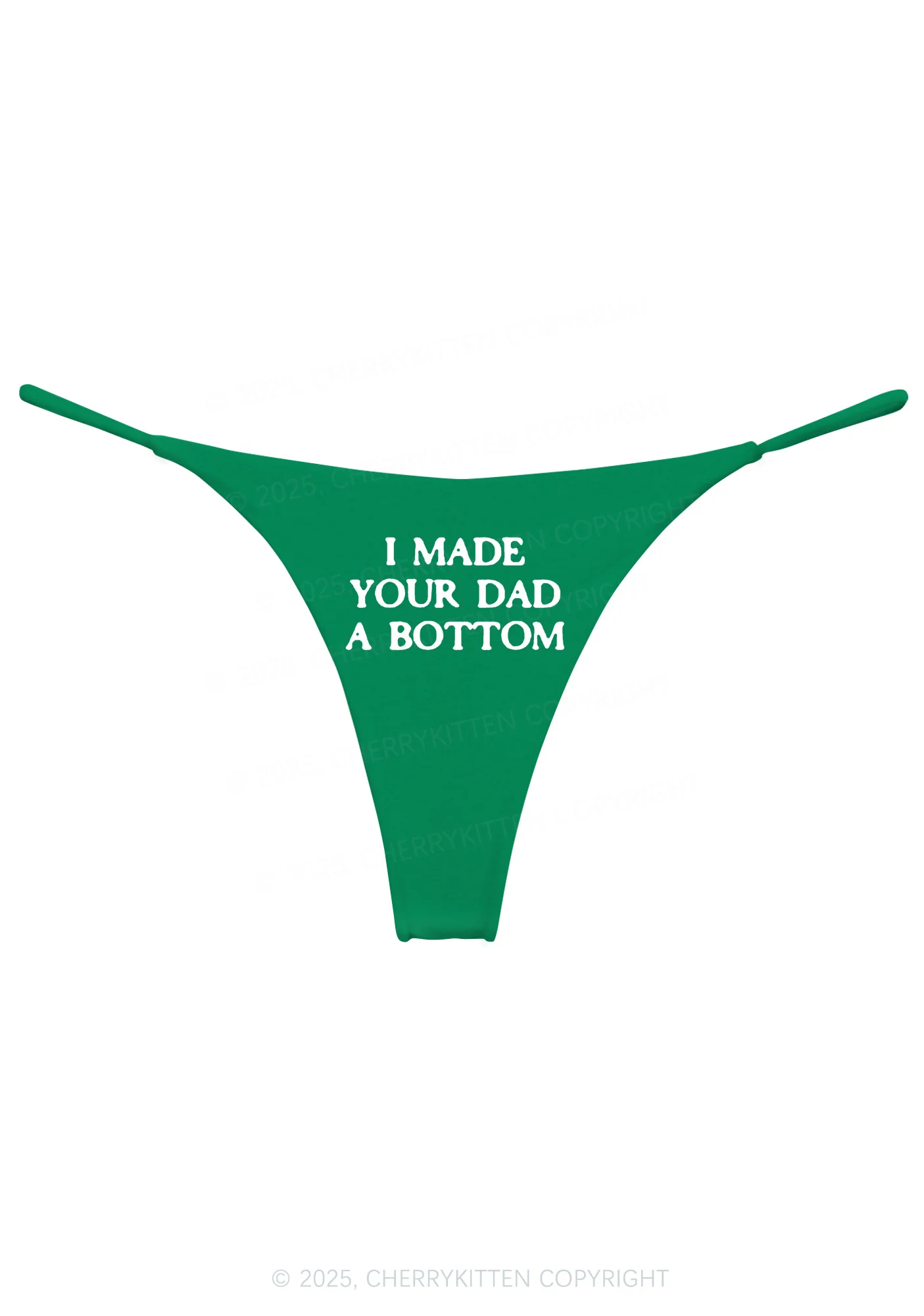 Made Your Dad Bottom Pride Y2K Bikini String Thong Cherrykitten - Image 8
