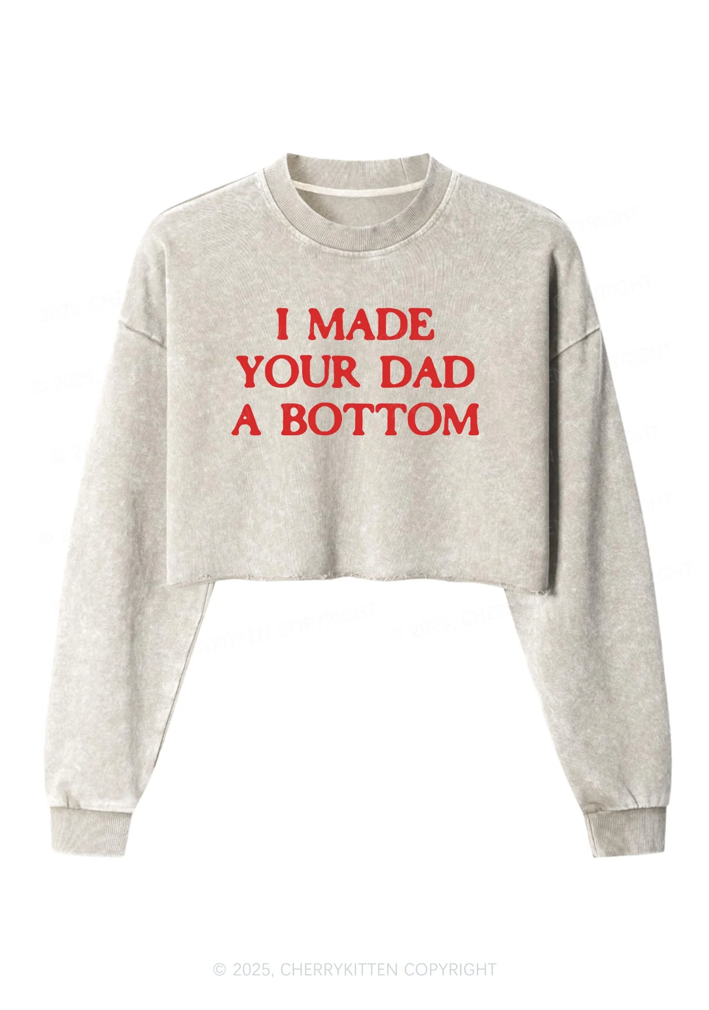 Made Your Dad Bottom Pride Y2K Crop Washed Sweatshirts Cherrykitten - Image 3