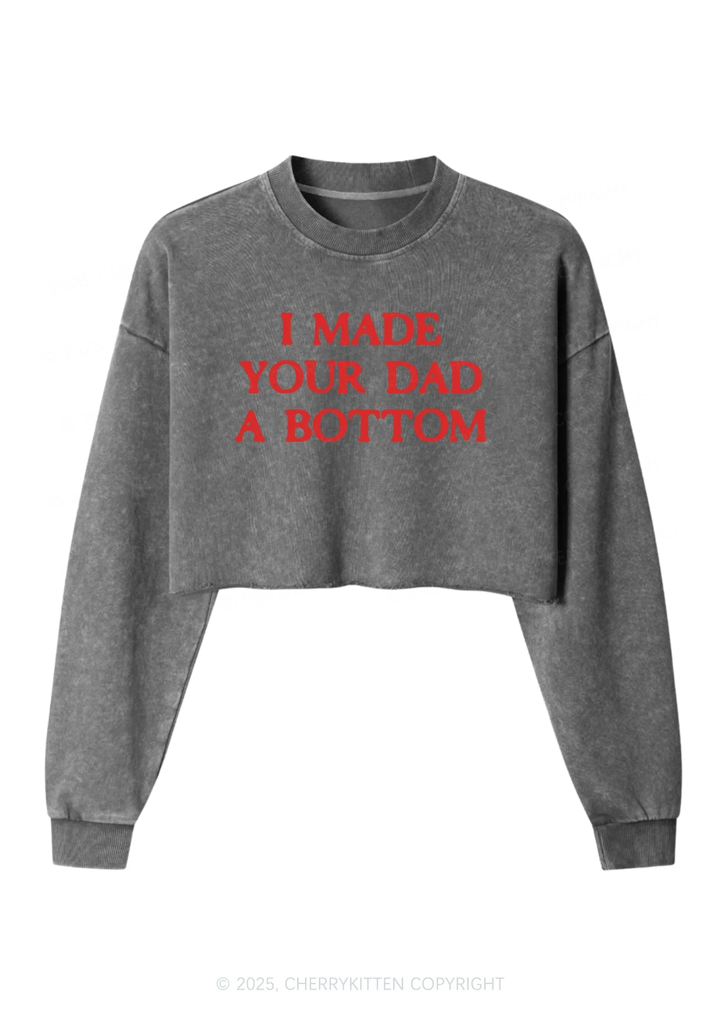 Made Your Dad Bottom Pride Y2K Crop Washed Sweatshirts Cherrykitten - Image 5