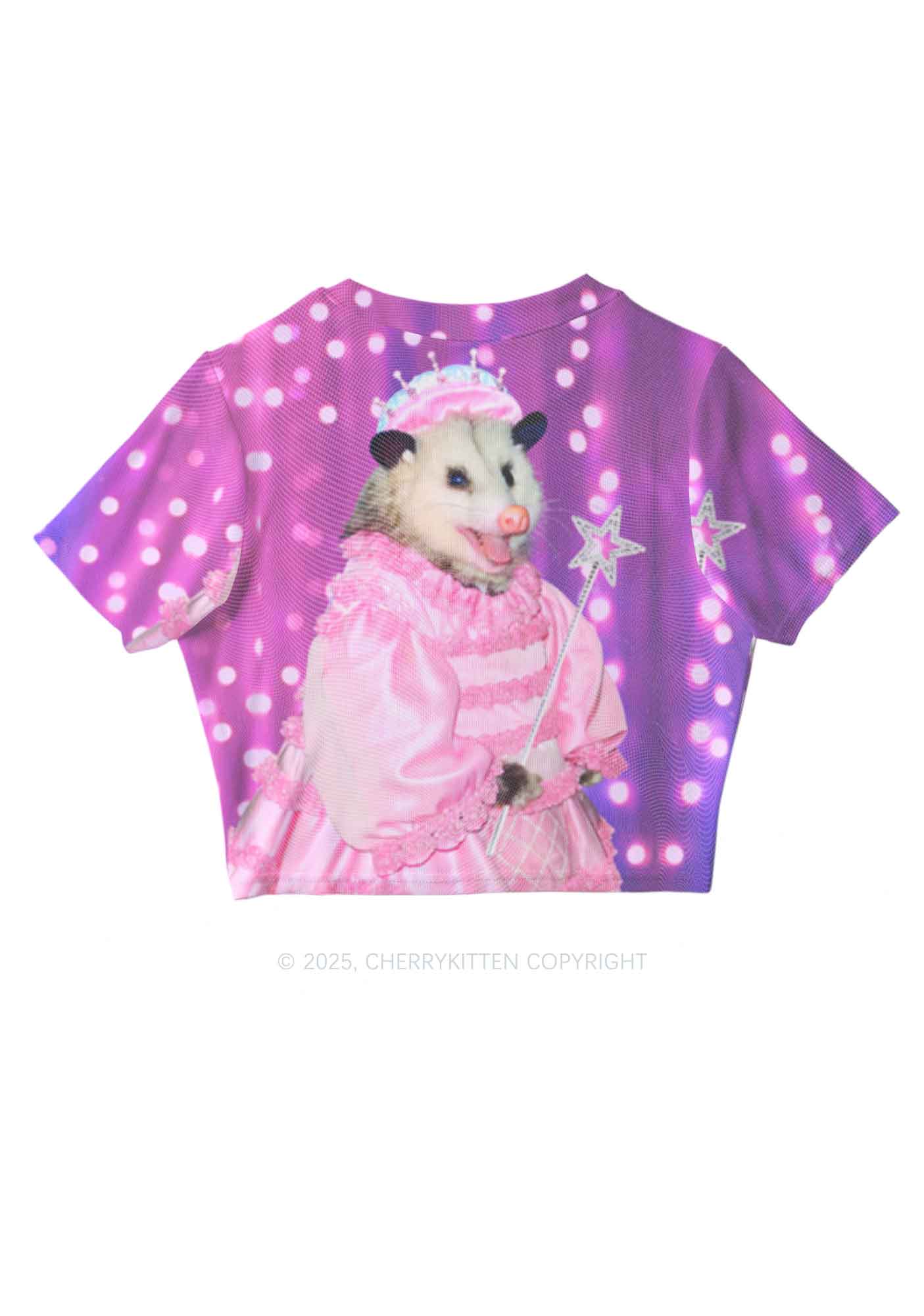 Magic Pink Ratz Y2K Mesh Crop Top Cherrykitten - Image 3
