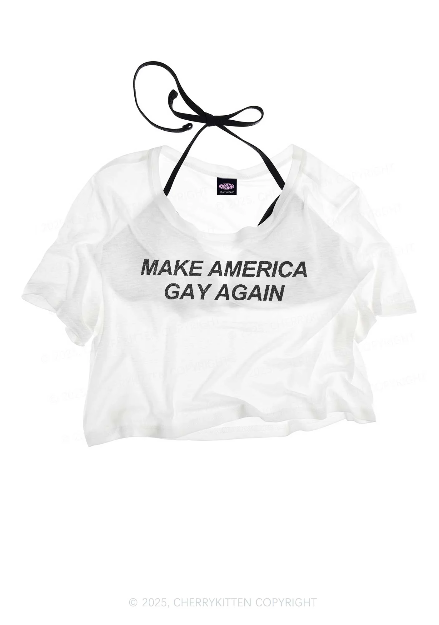 Make America Gay Again Pride Y2K Sheer Crop Tee Cherrykitten - Image 3