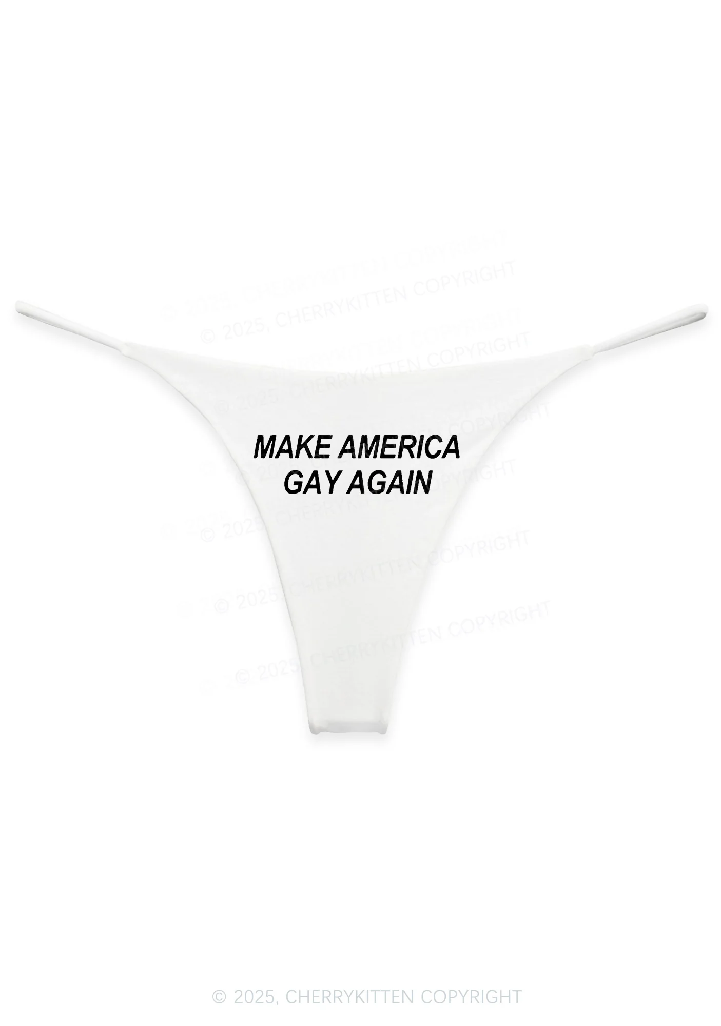 Make America Gay Again Y2K Bikini String Thong Cherrykitten - Image 4