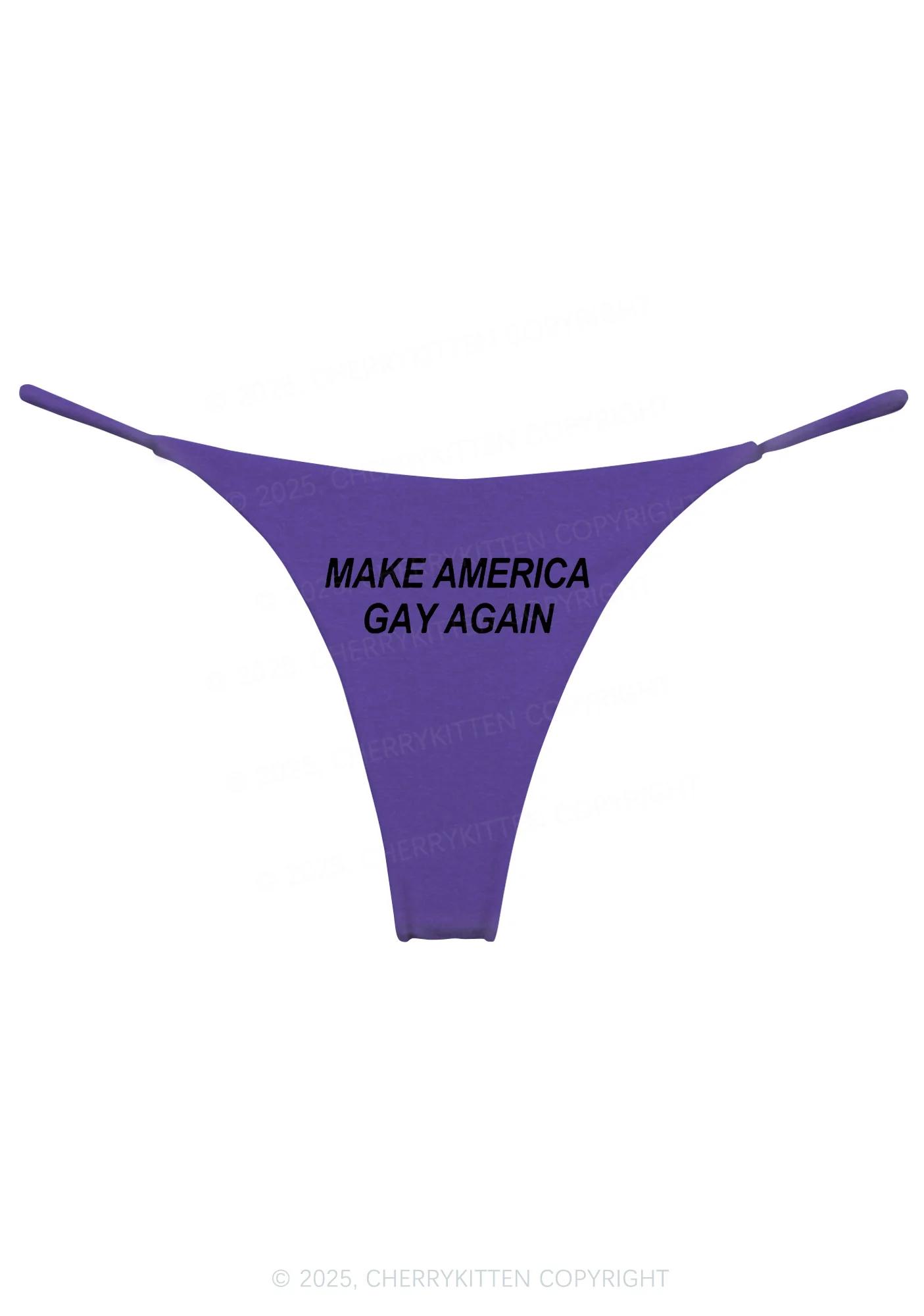 Make America Gay Again Y2K Bikini String Thong Cherrykitten - Image 9