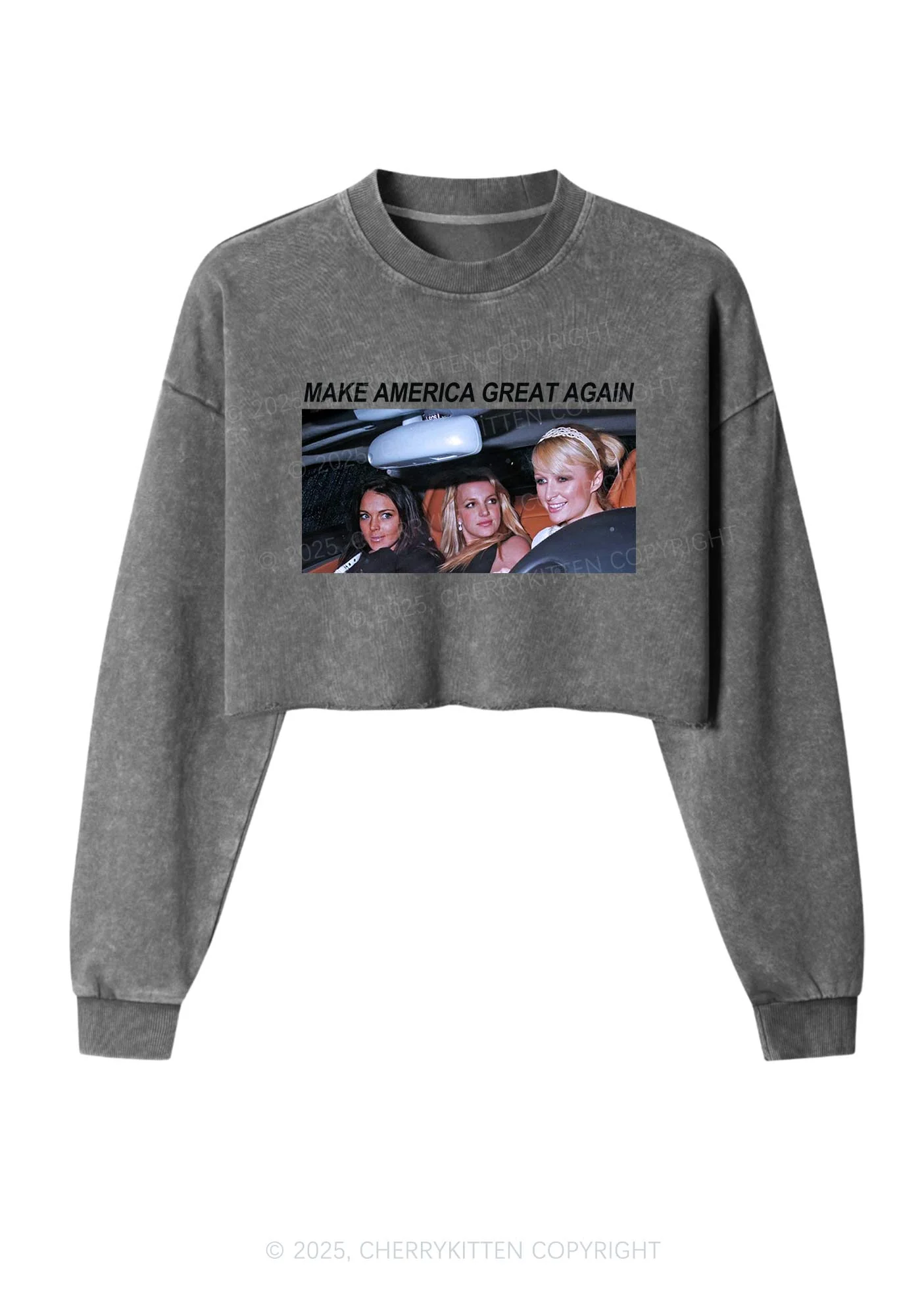 Make America Great Again Y2K Crop Washed Sweatshirts Cherrykitten - Image 3