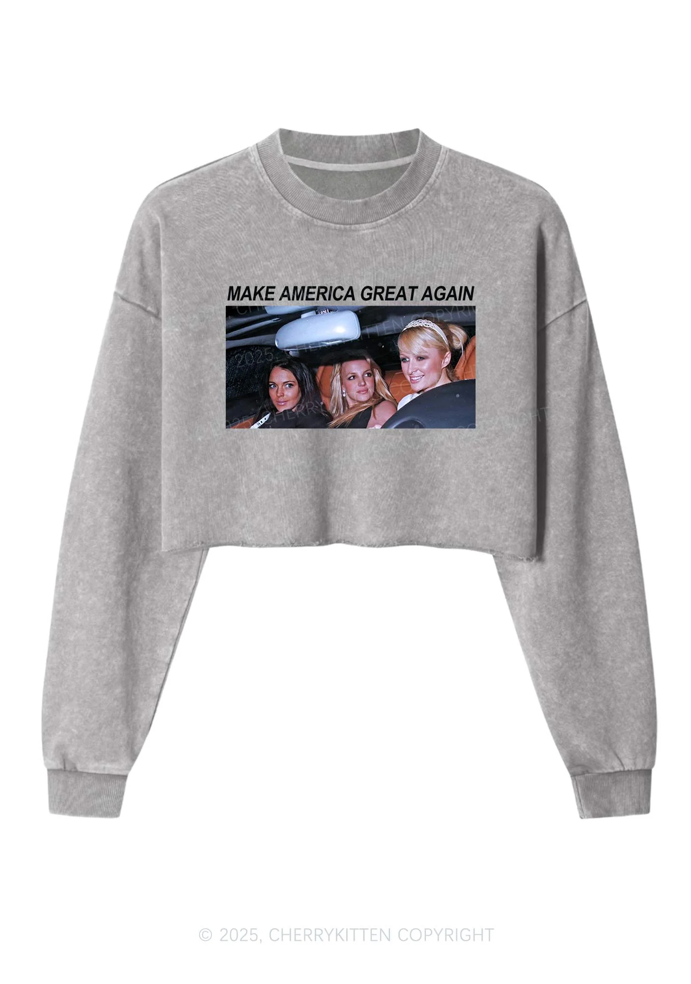 Make America Great Again Y2K Crop Washed Sweatshirts Cherrykitten - Image 4