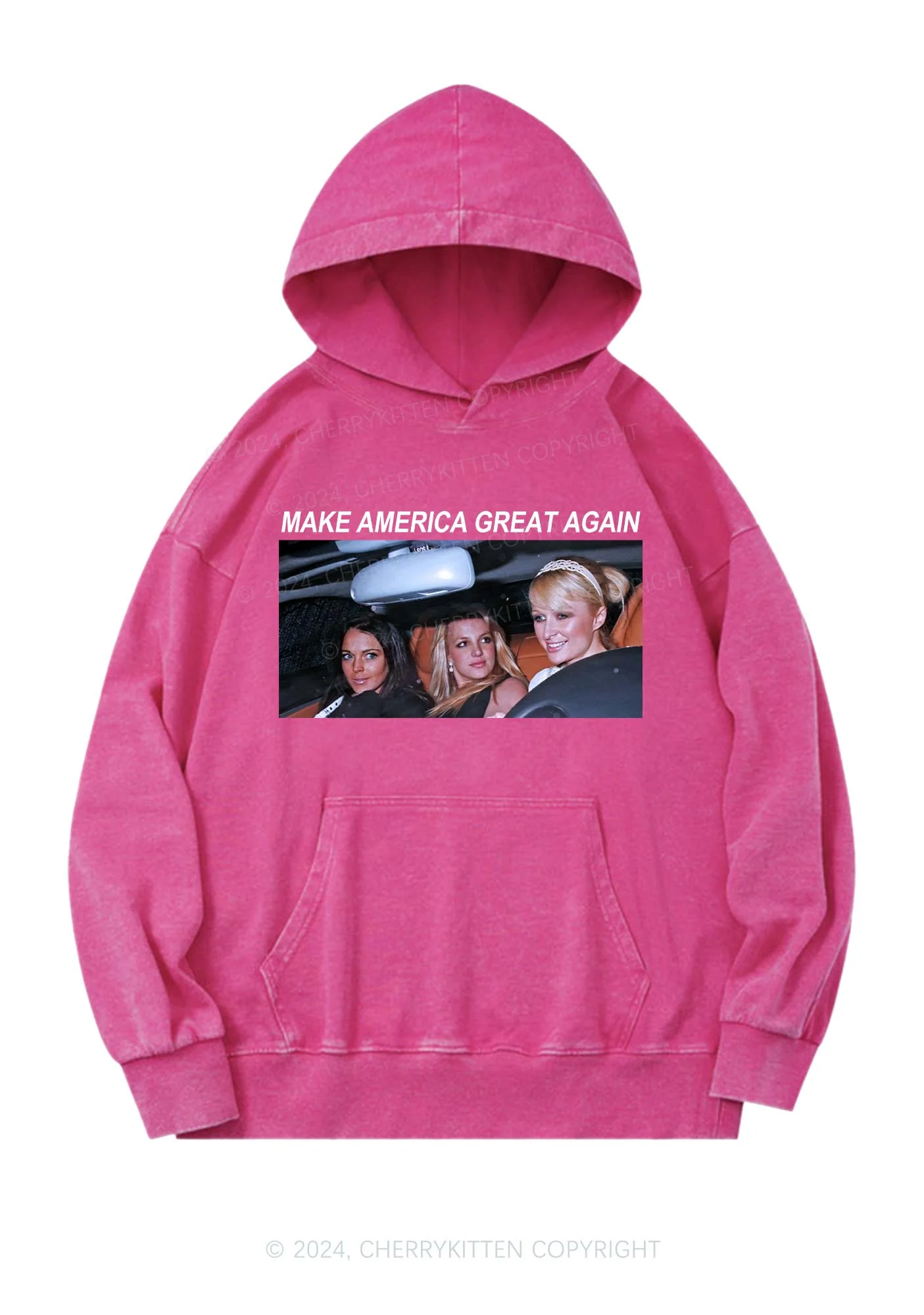 Make America Great Again Y2K Washed Hoodie Cherrykitten - Image 3