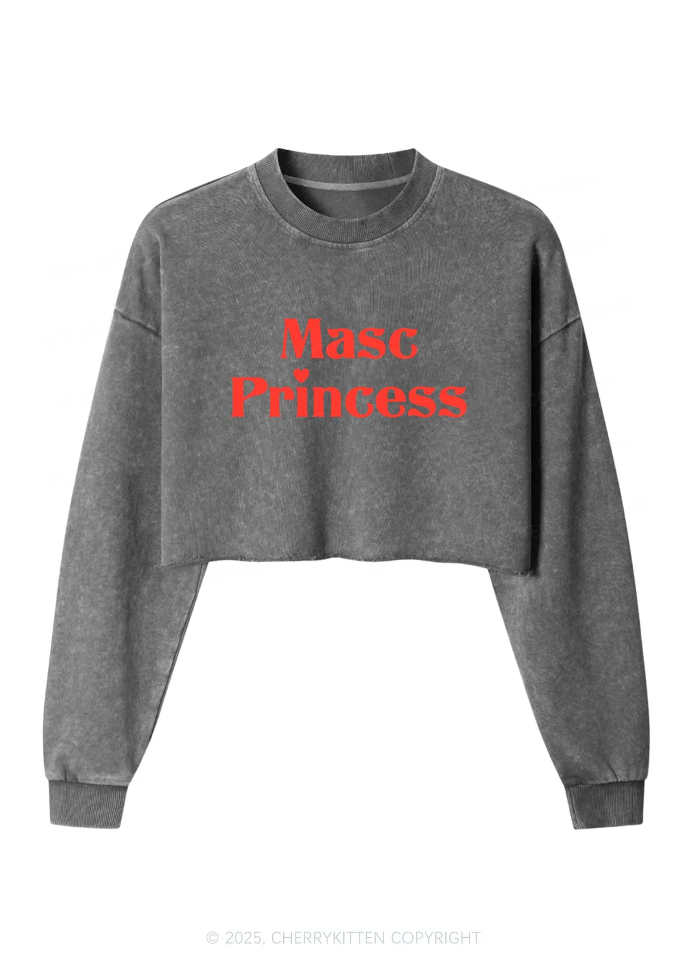 Masc Princess Pride Y2K Crop Washed Sweatshirts Cherrykitten - Image 5