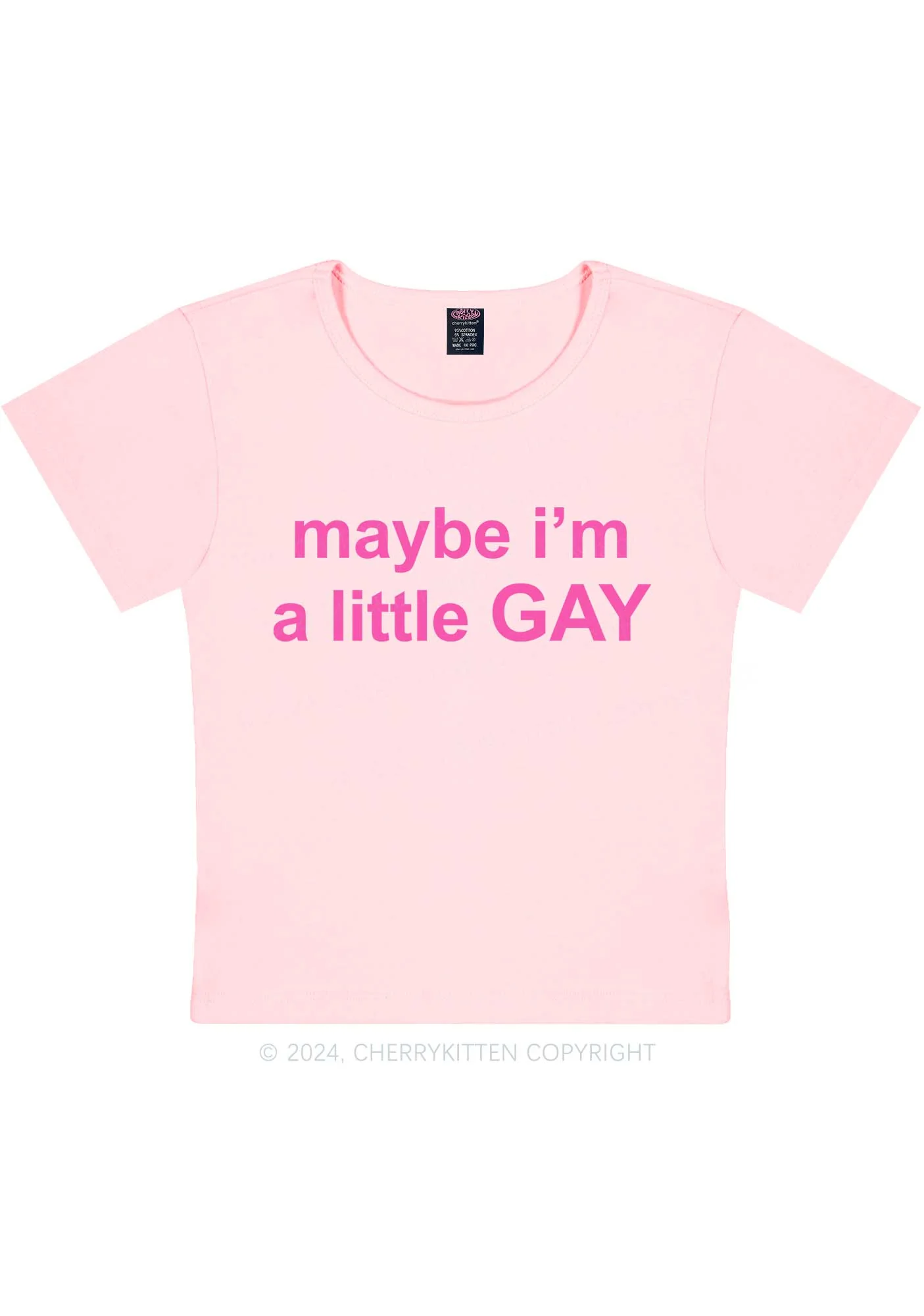 Maybe I'm A Gay Y2K Baby Tee Cherrykitten - Image 11