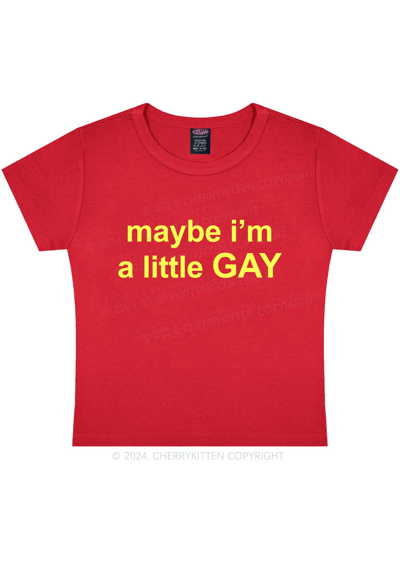 Maybe I'm A Gay Y2K Baby Tee Cherrykitten - Image 5