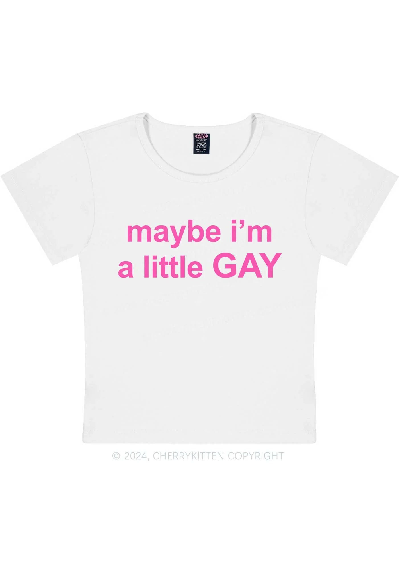 Maybe I'm A Gay Y2K Baby Tee Cherrykitten - Image 6