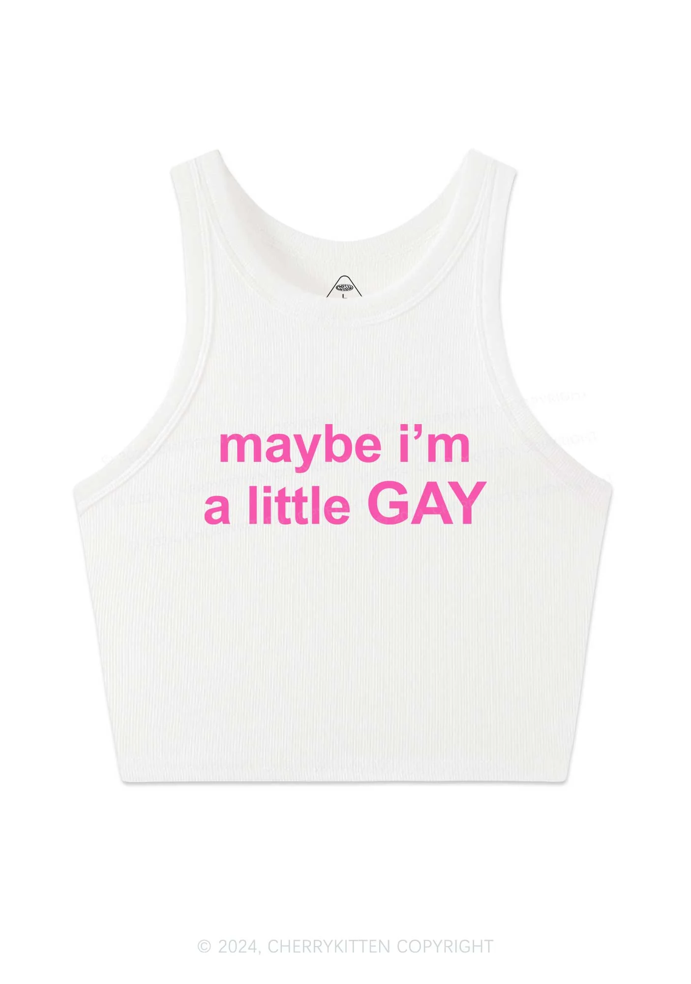 Maybe I'm A Gay Y2K Crop Tank Top Cherrykitten - Image 3