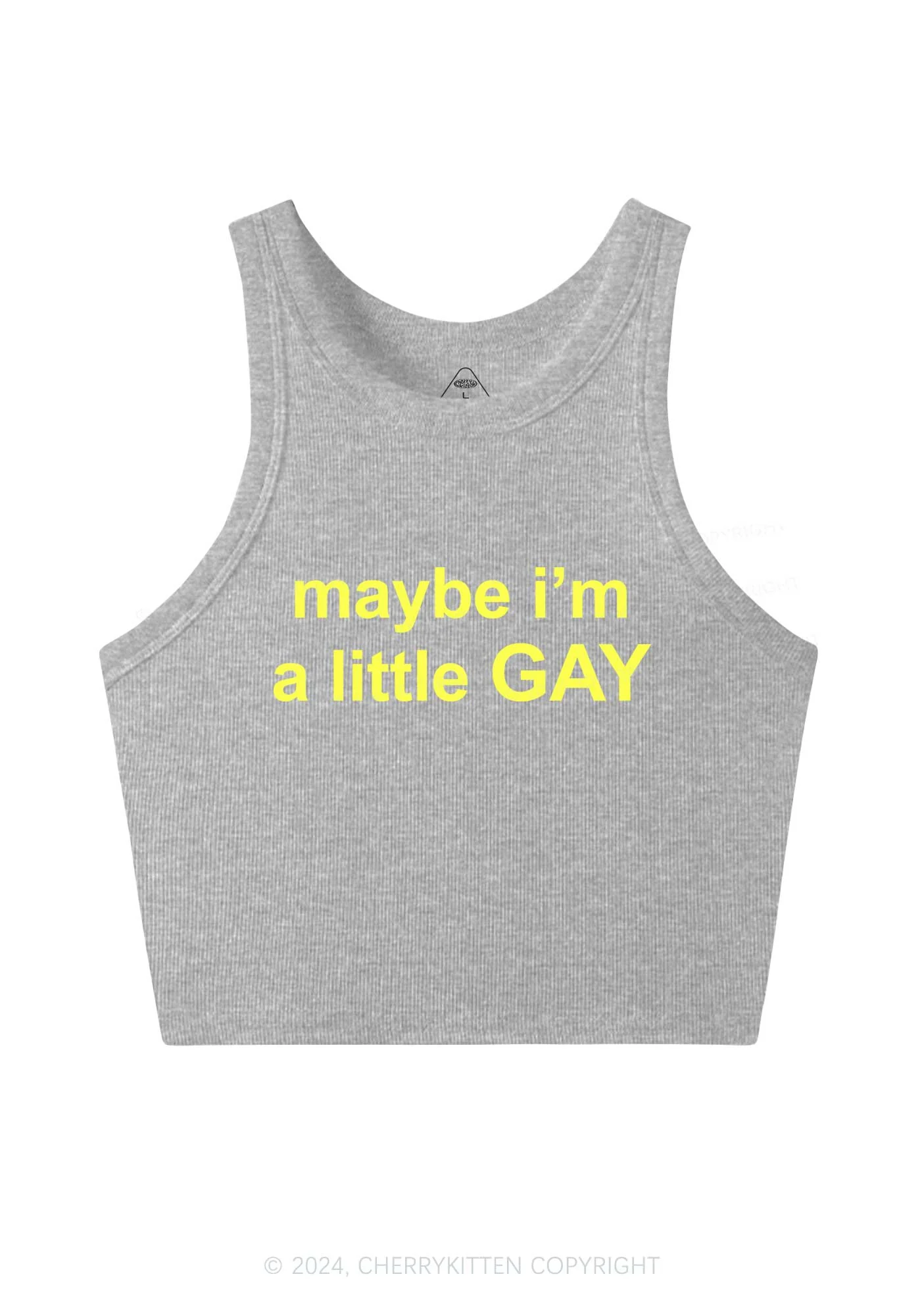 Maybe I'm A Gay Y2K Crop Tank Top Cherrykitten - Image 5