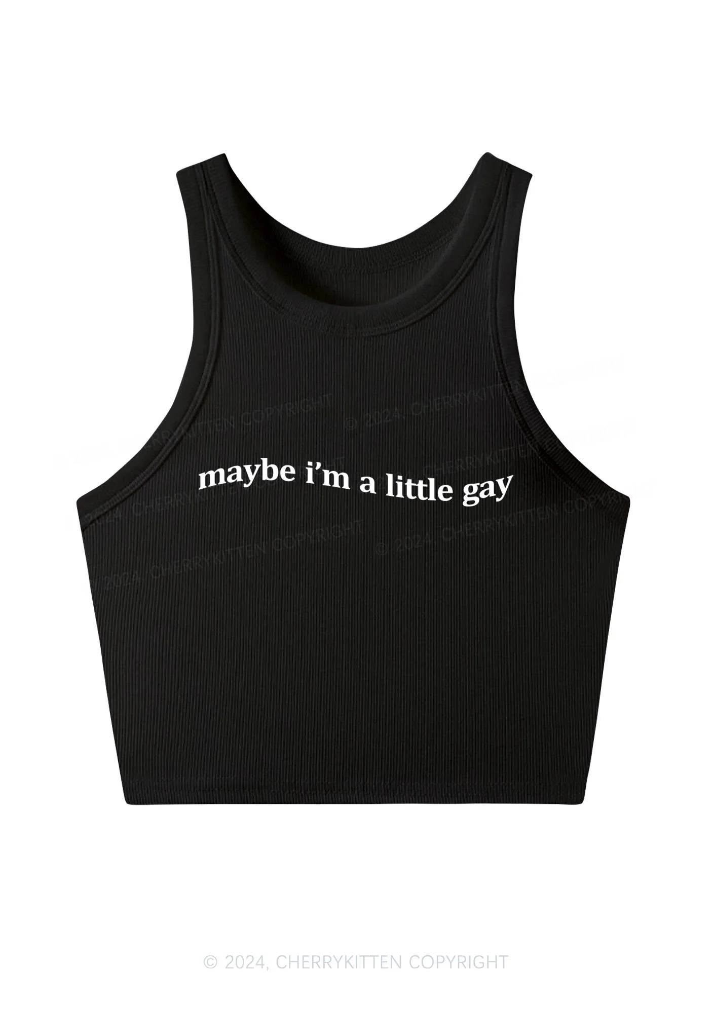 Maybe I'm A Little Gay Y2K Crop Tank Top Cherrykitten - Image 2