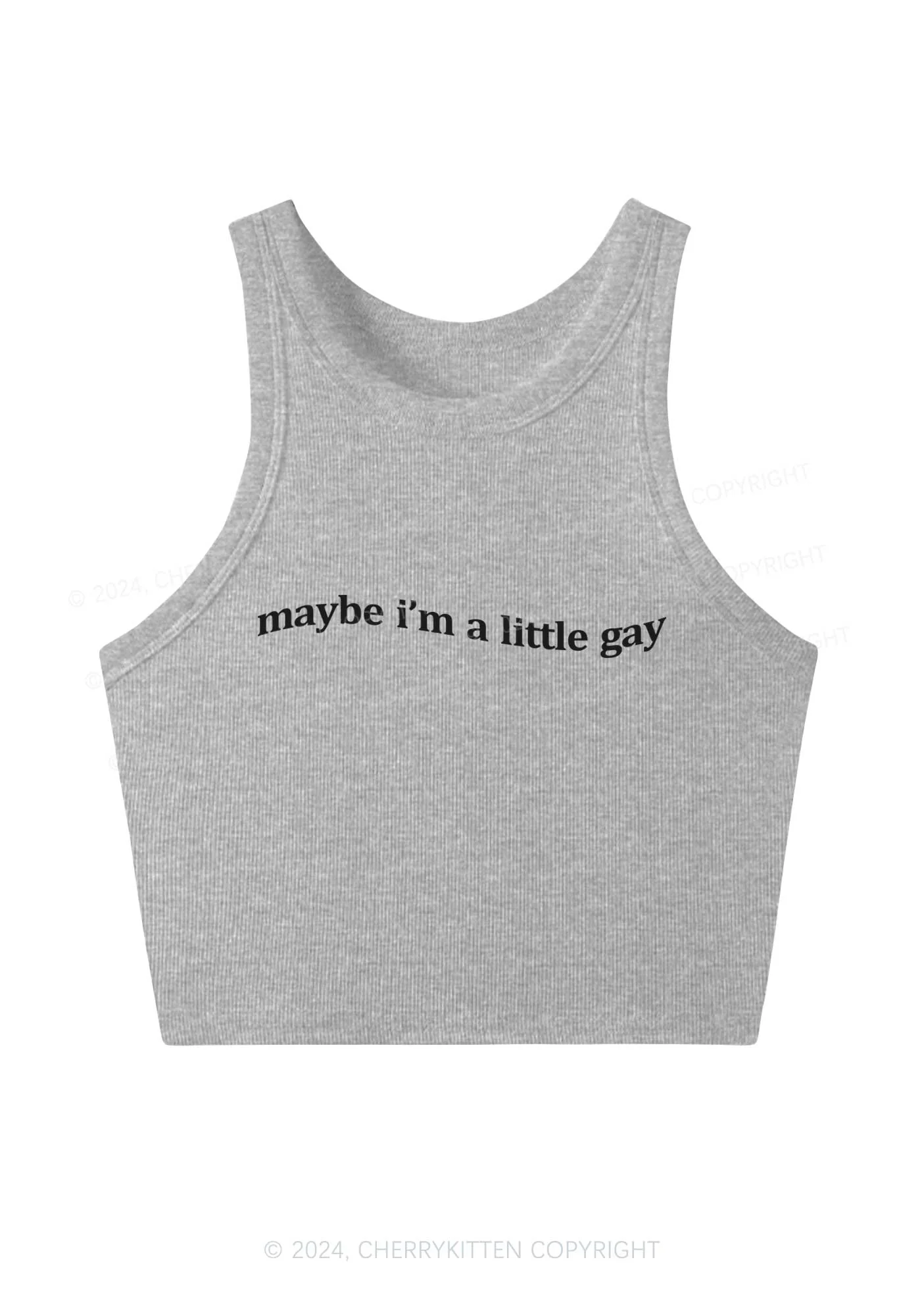 Maybe I'm A Little Gay Y2K Crop Tank Top Cherrykitten - Image 3