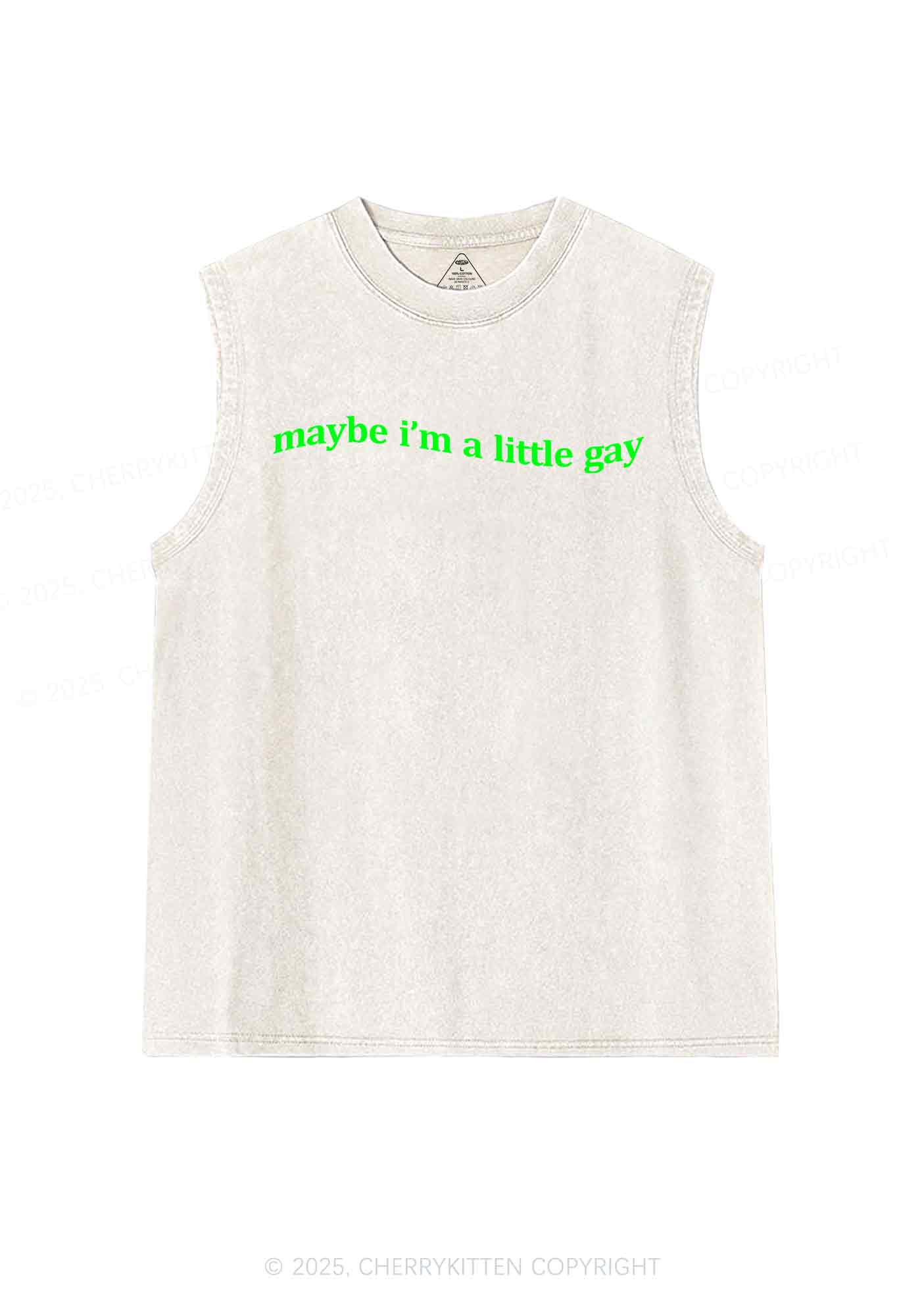 Maybe Im A Little Gay Y2K Washed Tank Cherrykitten - Image 3