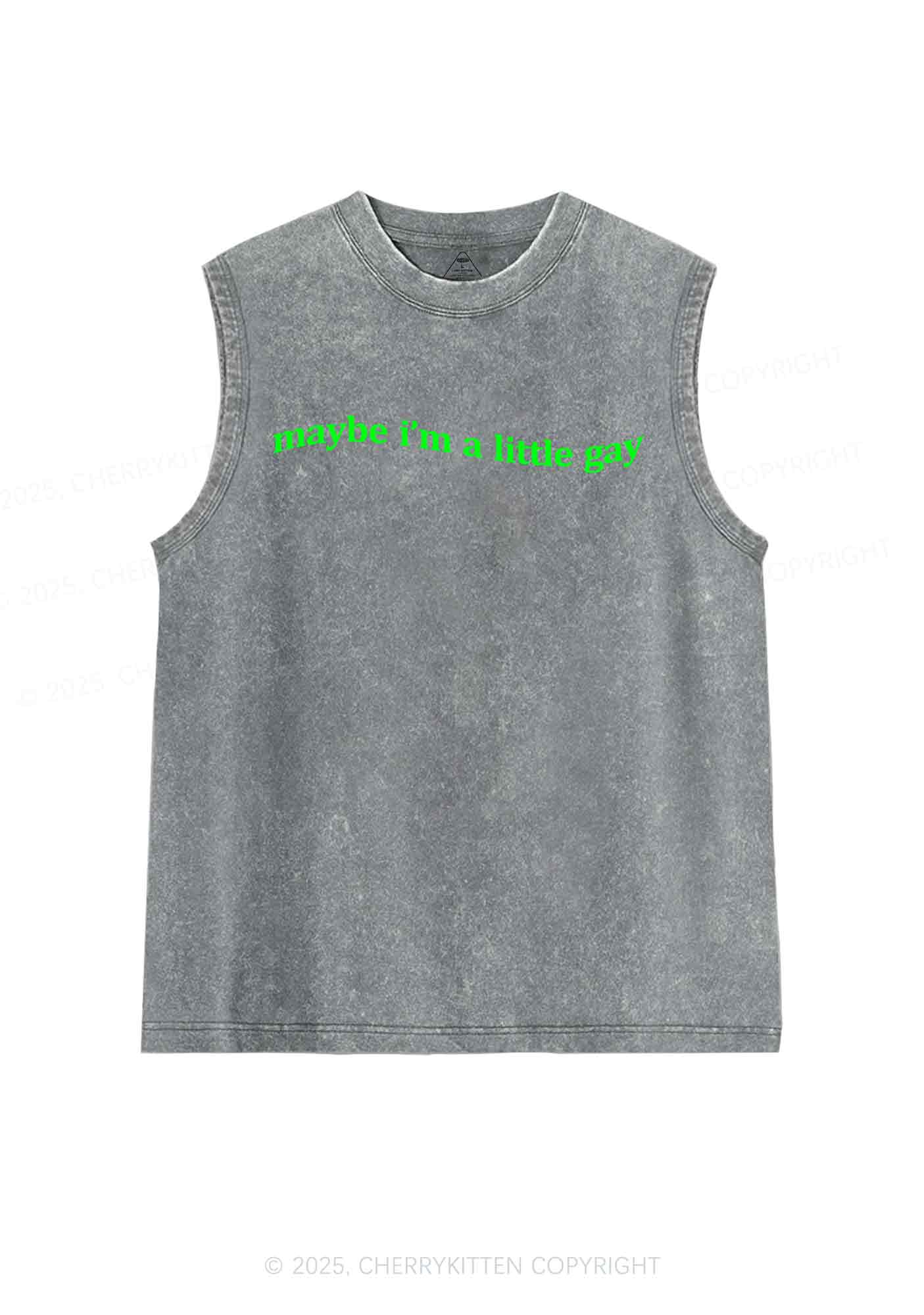 Maybe Im A Little Gay Y2K Washed Tank Cherrykitten - Image 5