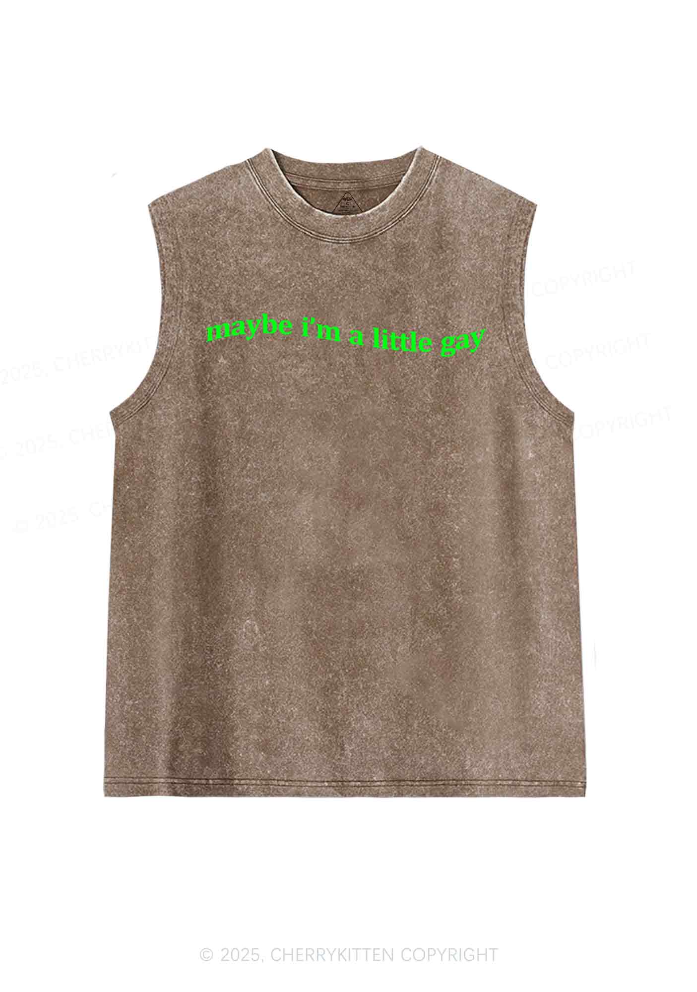 Maybe Im A Little Gay Y2K Washed Tank Cherrykitten - Image 6