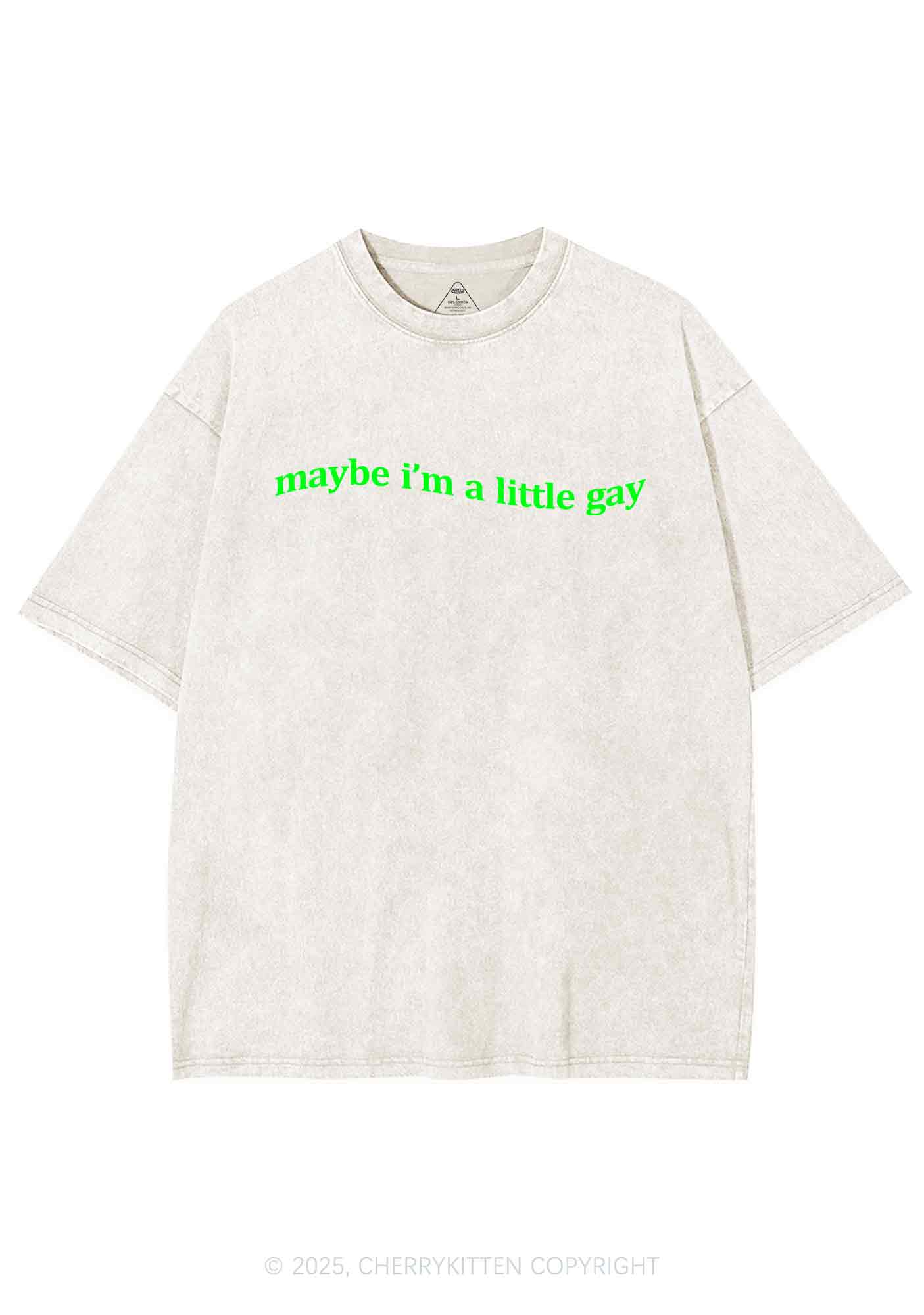 Maybe Im A Little Gay Y2K Washed Tee Cherrykitten - Image 3