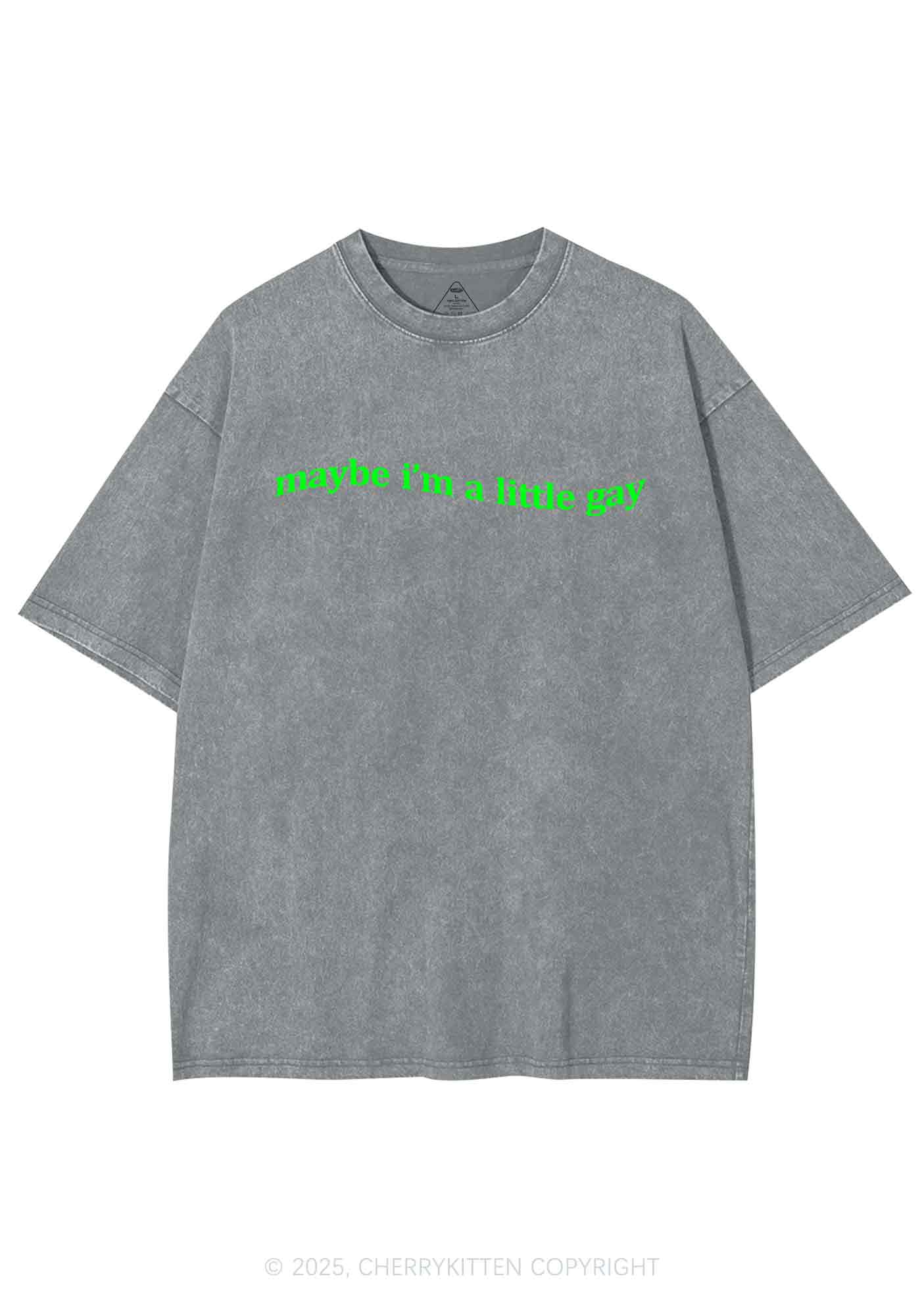 Maybe Im A Little Gay Y2K Washed Tee Cherrykitten - Image 6