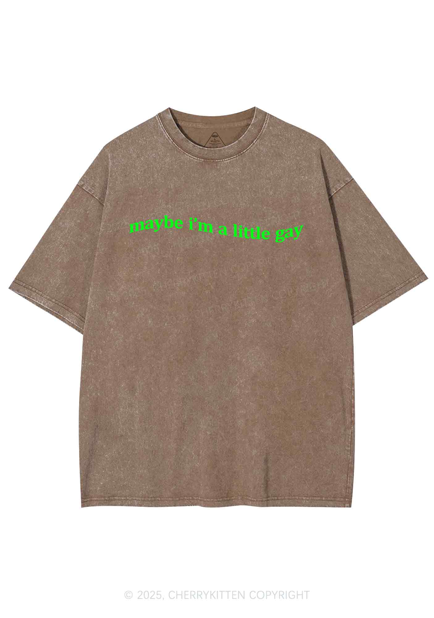 Maybe Im A Little Gay Y2K Washed Tee Cherrykitten - Image 7