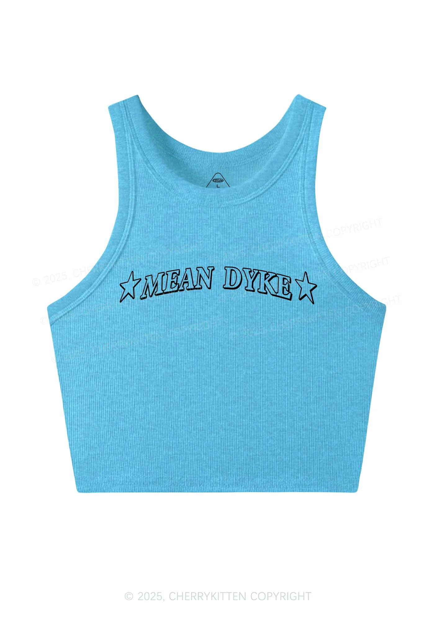 Mean Dyke Pride Y2K Crop Tank Top Cherrykitten - Image 5